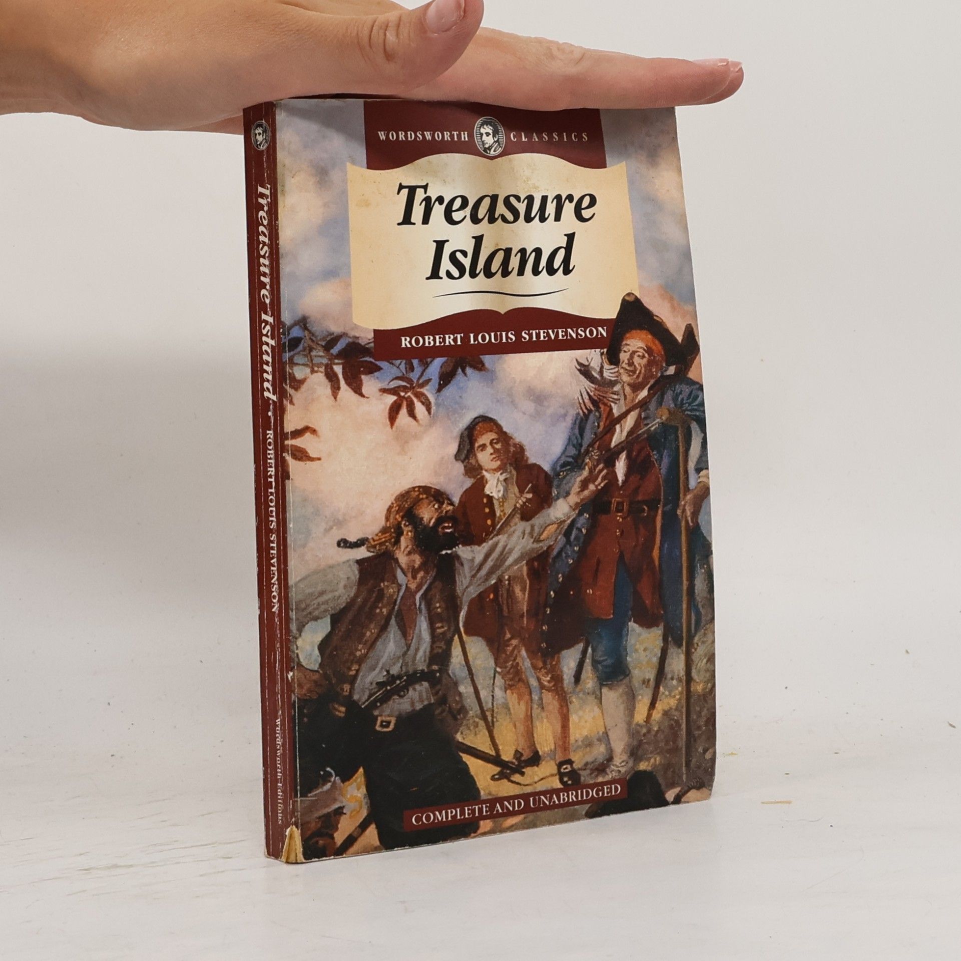 Robert Louis Stevenson Treasure island