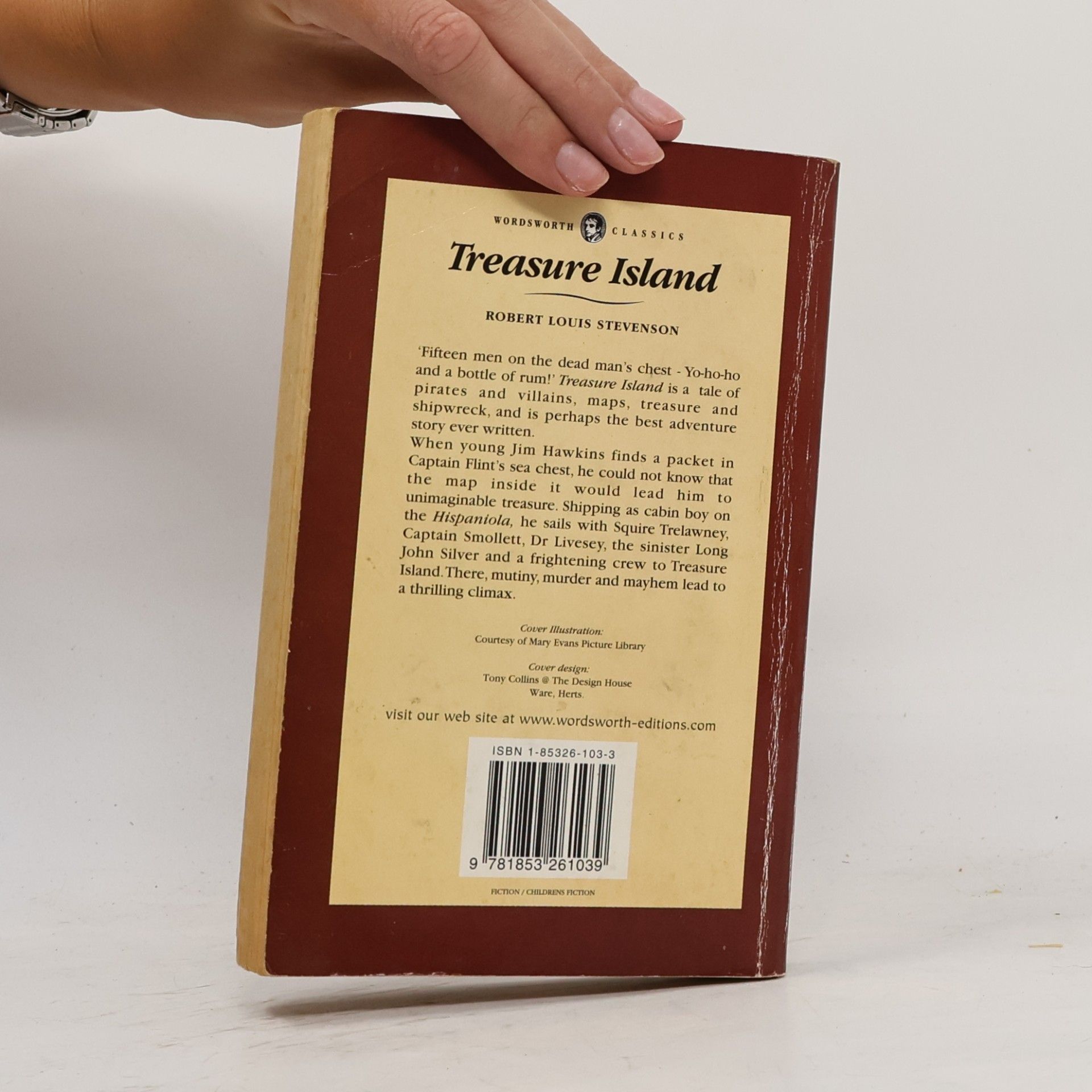 Robert Louis Stevenson Treasure island