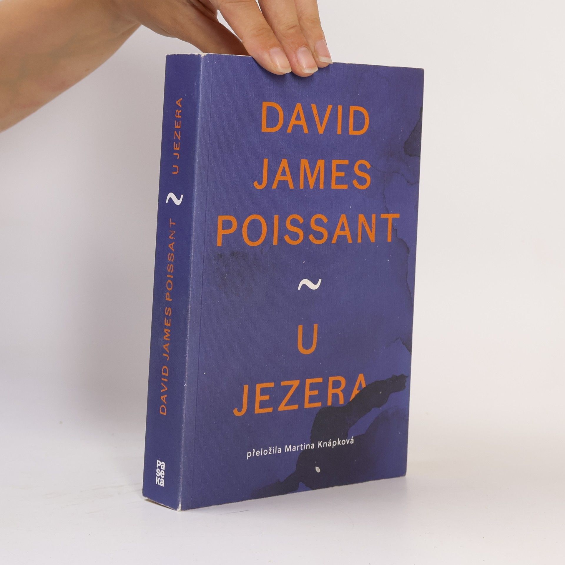 David James Poissant U jezera