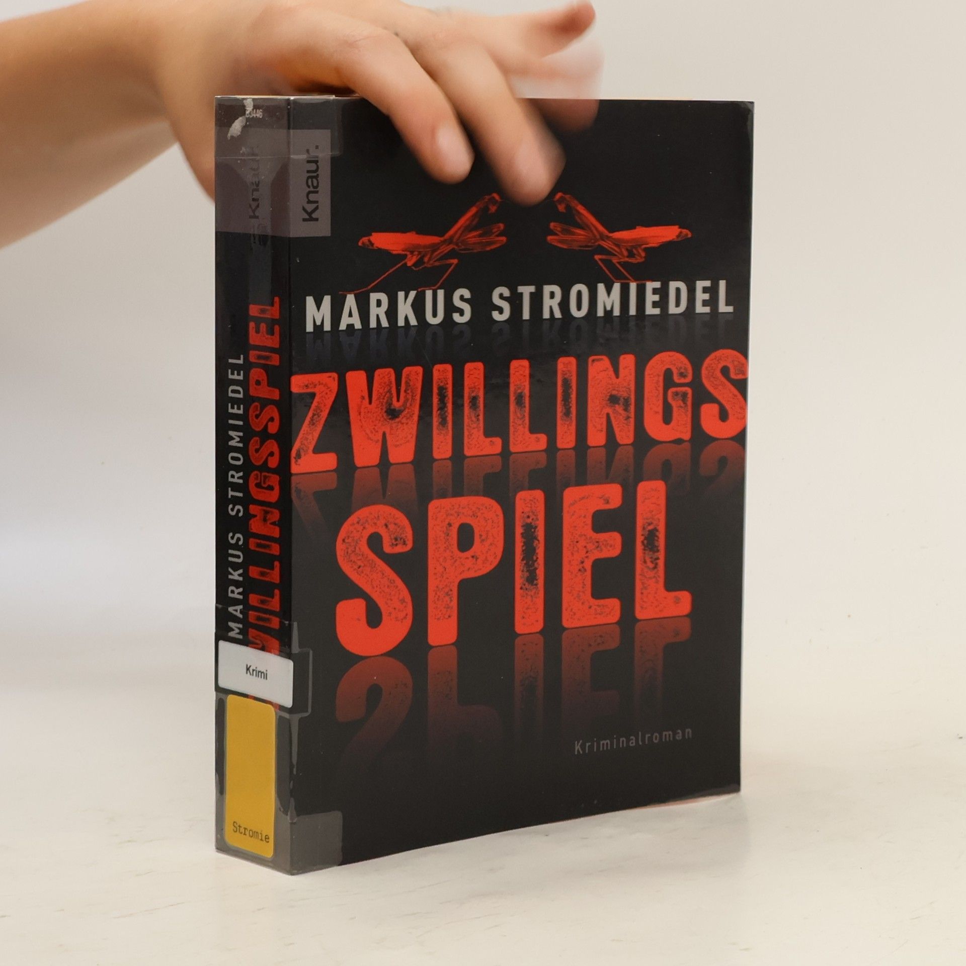 Markus Stromiedel Zwillingsspiel