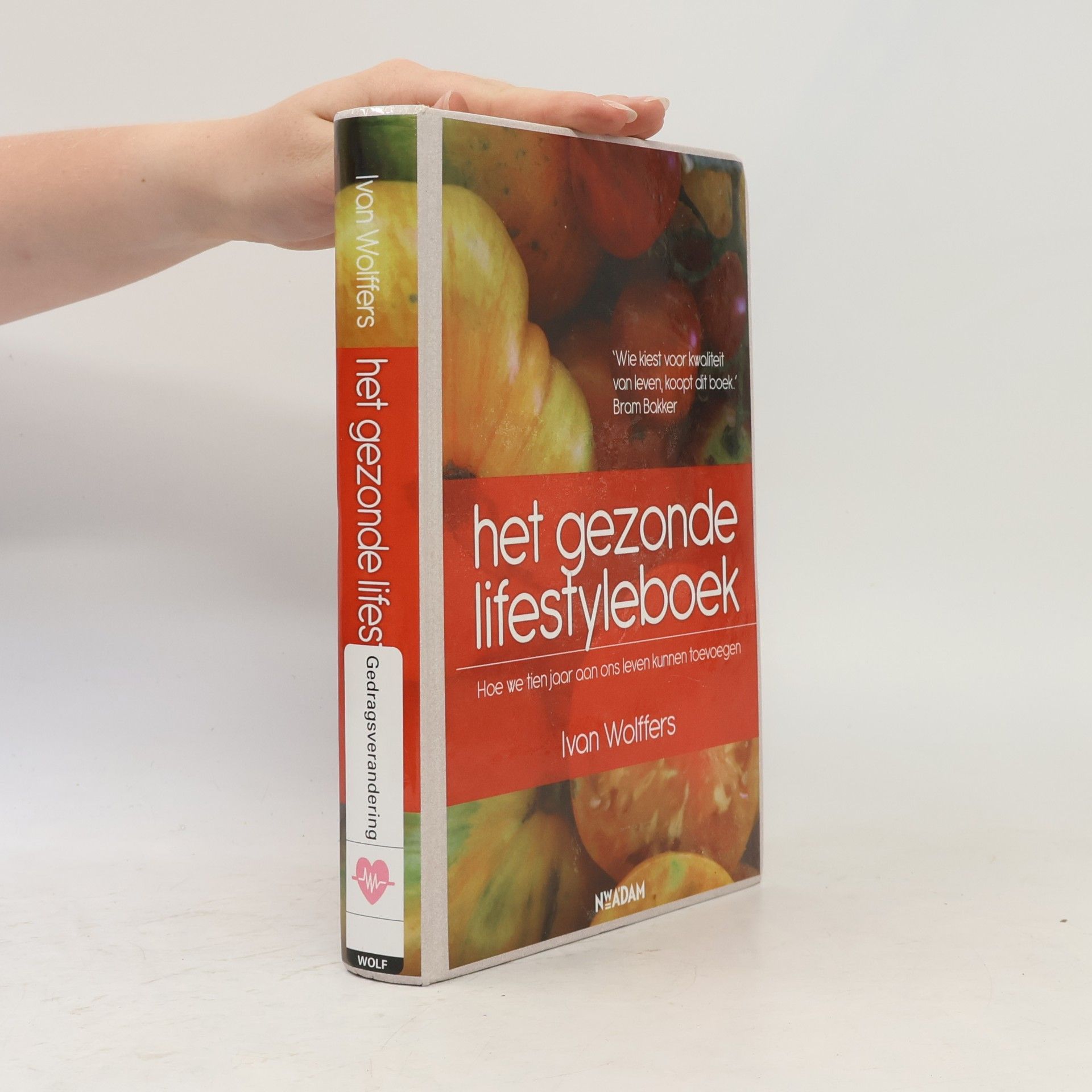 Het gezonde lifestyleboek