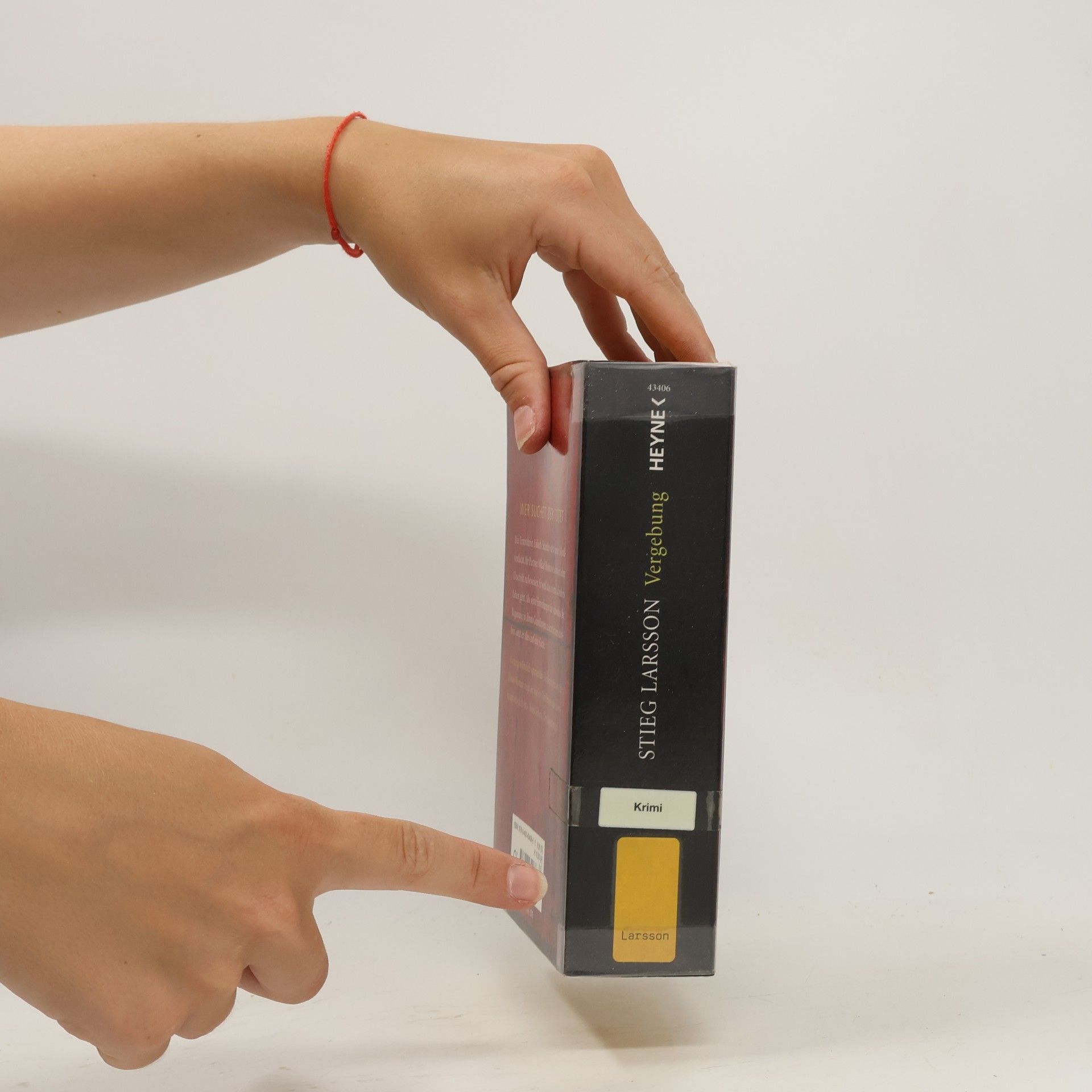 Stieg Larsson Vergebung