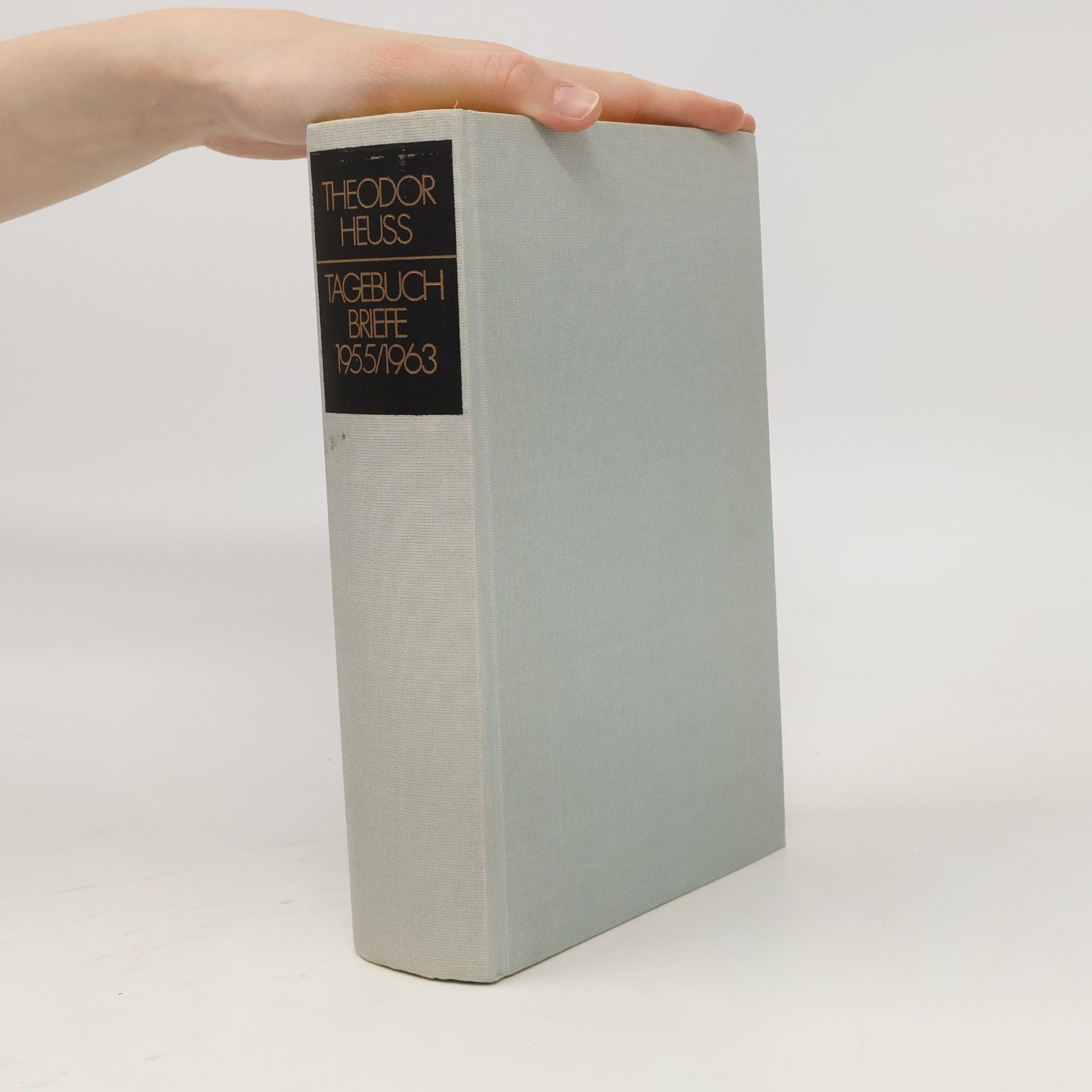Tagebuch Briefe 1955/1963