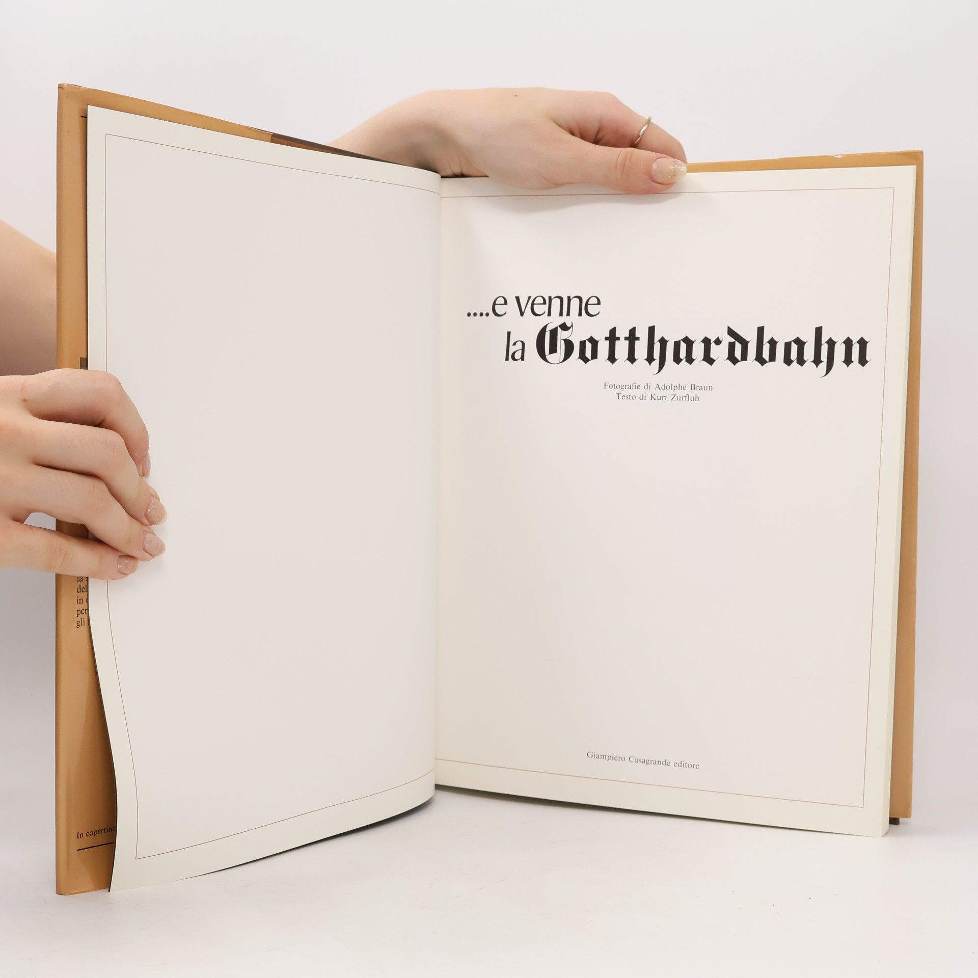 Adolphe Braun ...e venne la Gotthardbahn