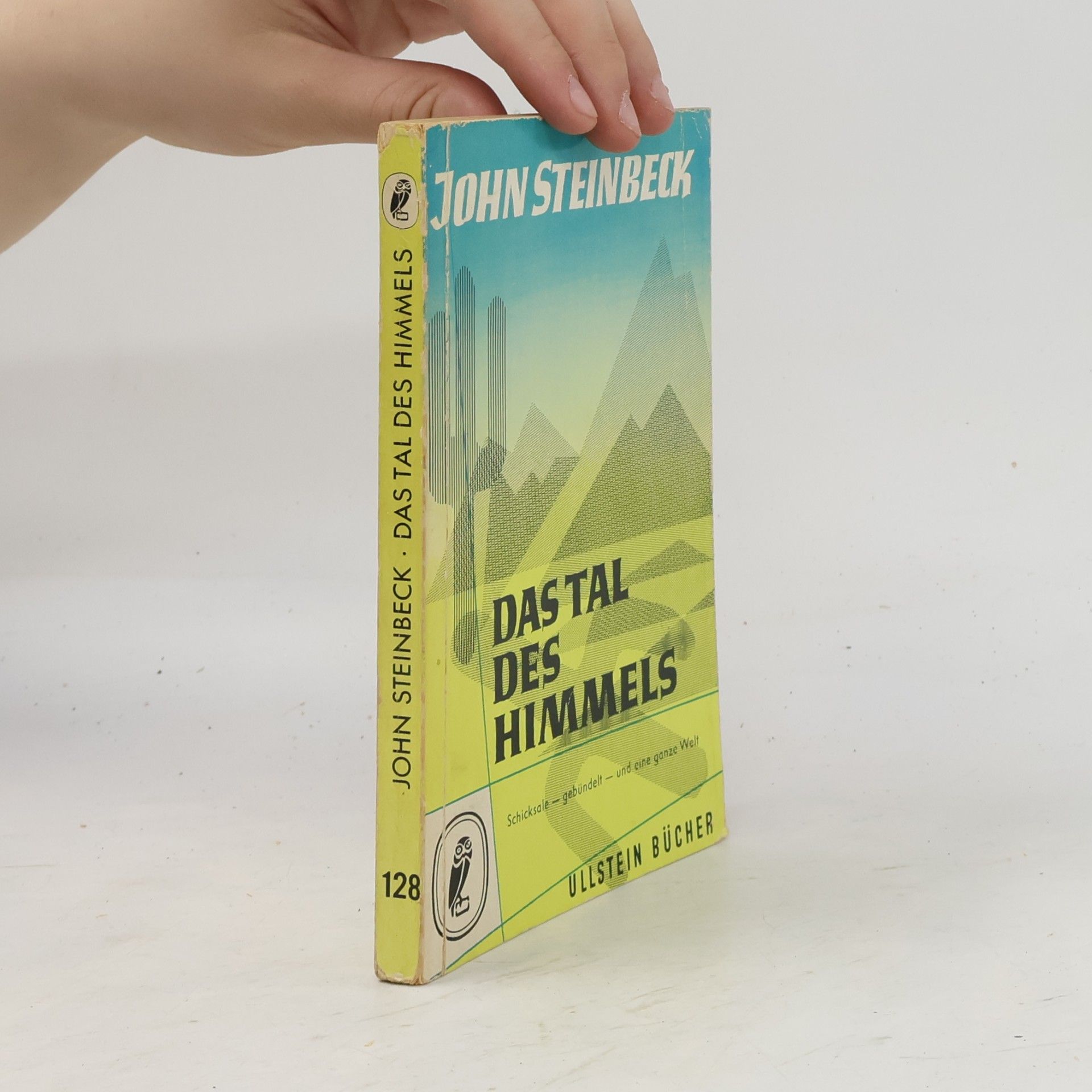 John Steinbeck Das Tal des Himmels