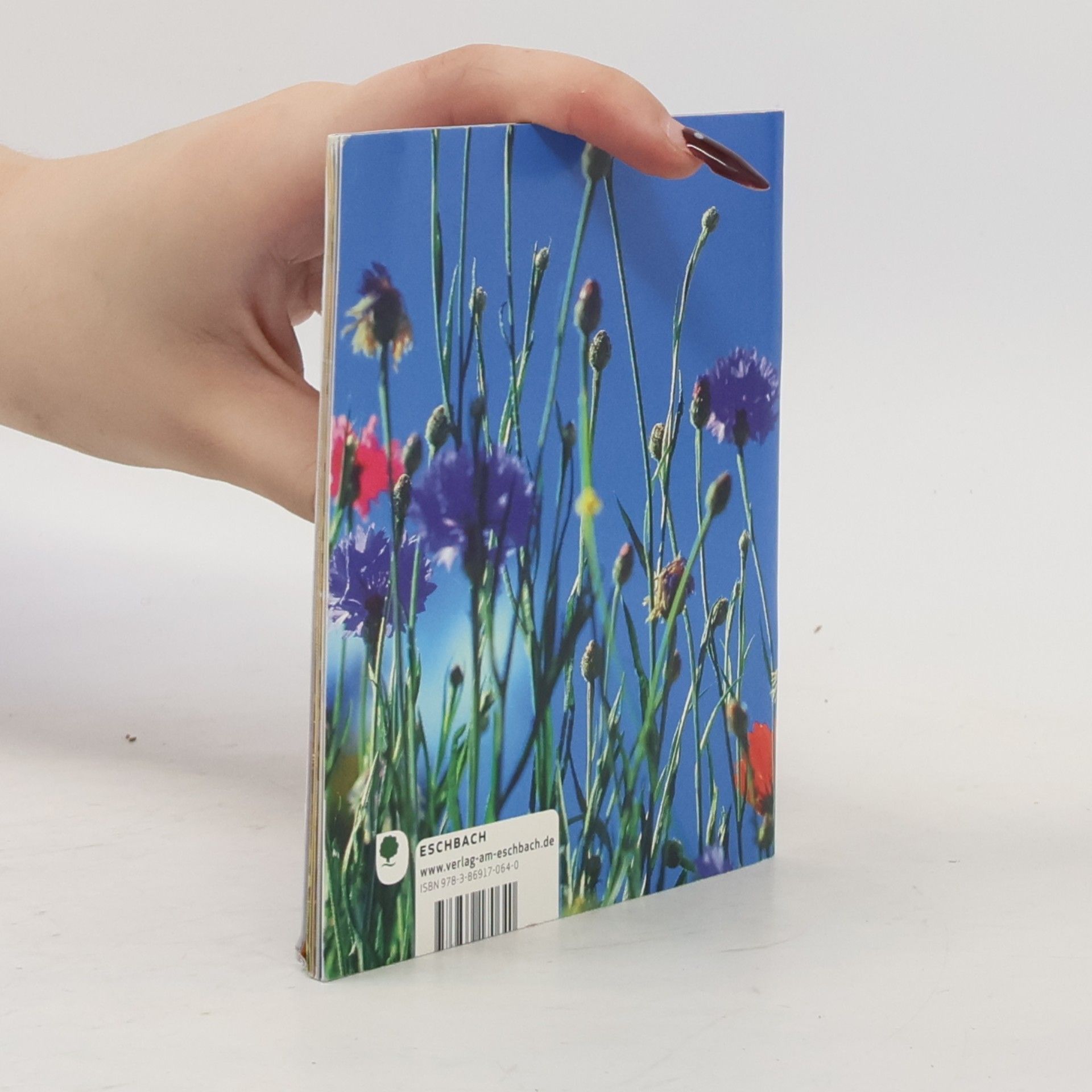 Max Bolliger Eschbacher Minis: Das Märchen vom Dichter und der Maus