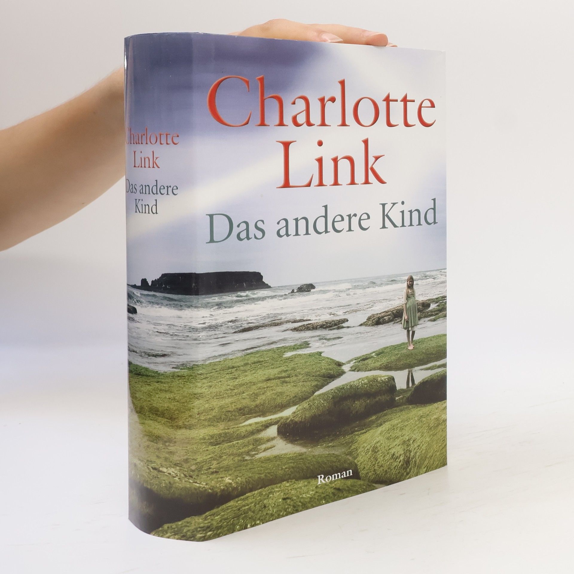 Charlotte Link Das andere Kind