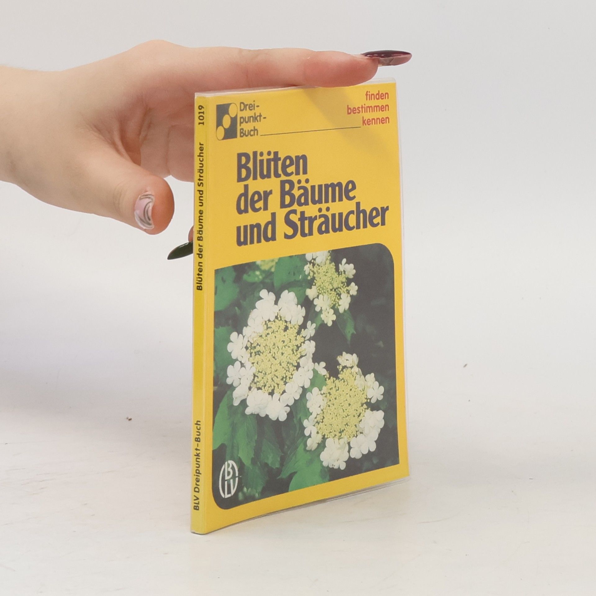 Ute E. Zimmer Blüten der Bäume und Sträucher