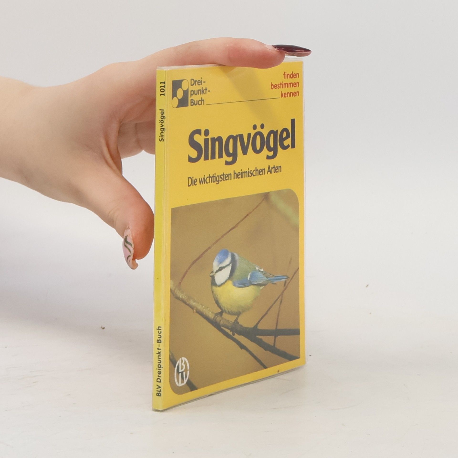 Alfred Handel Singvögel