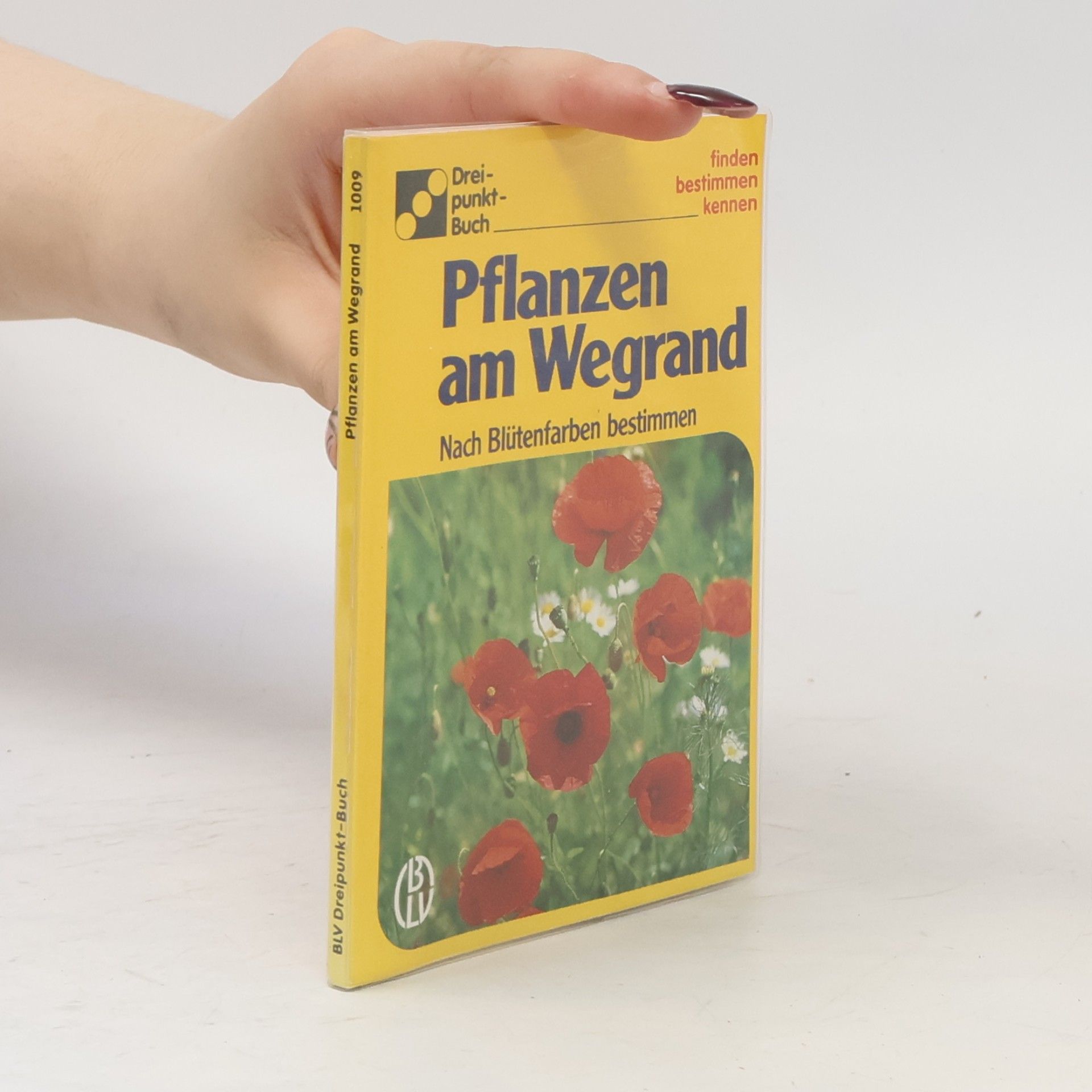 Alfred Handel Pflanzen am Wegrand