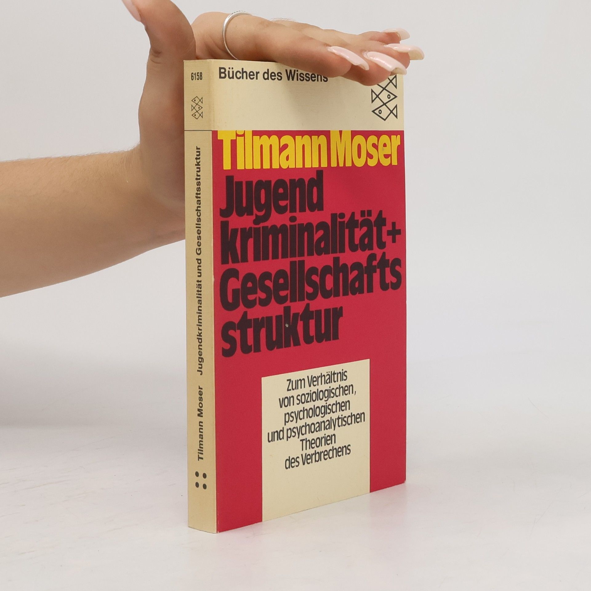 Tilmann Moser Jugendkriminalität und Gesellschaftsstruktur