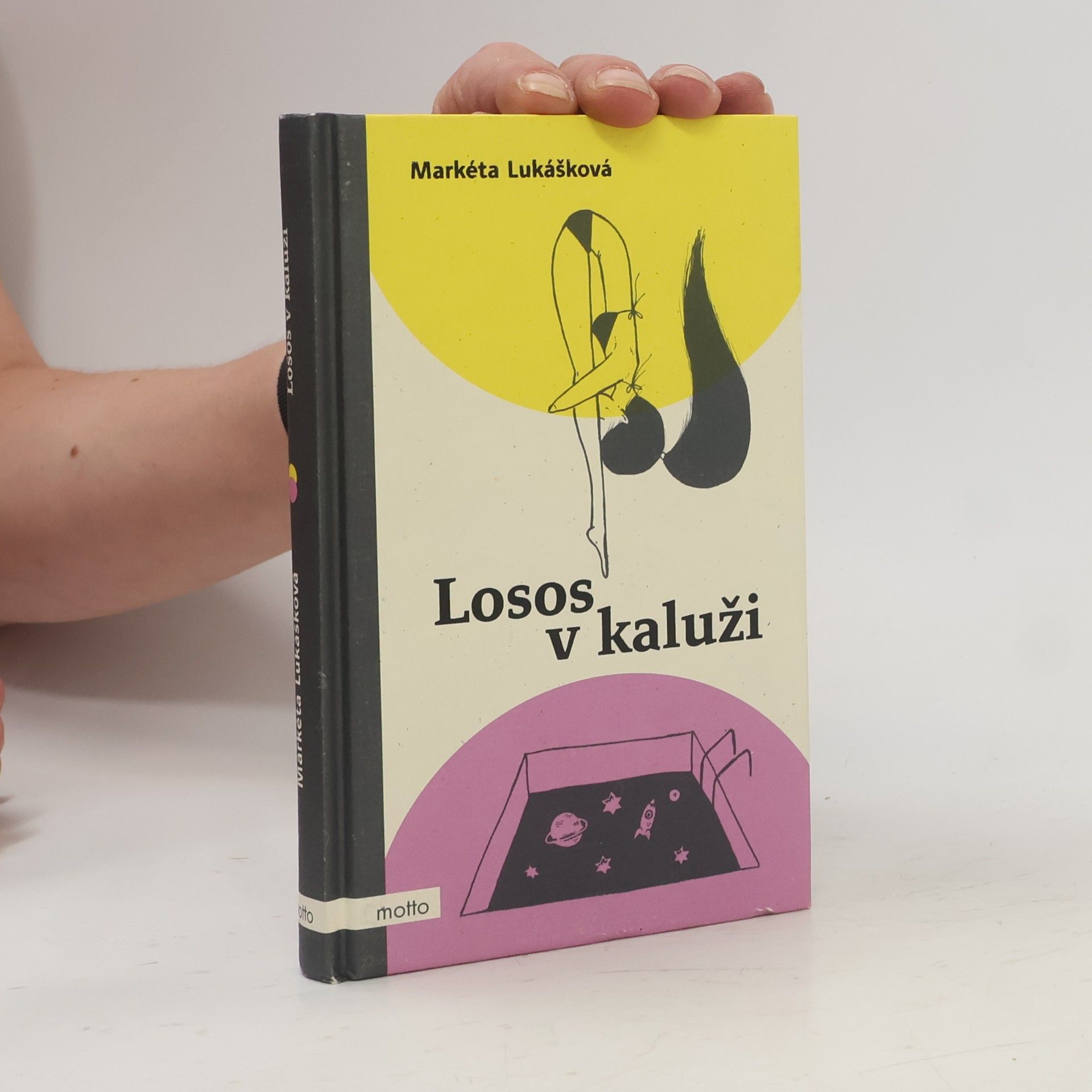 Markéta Lukášková Losos v kaluži