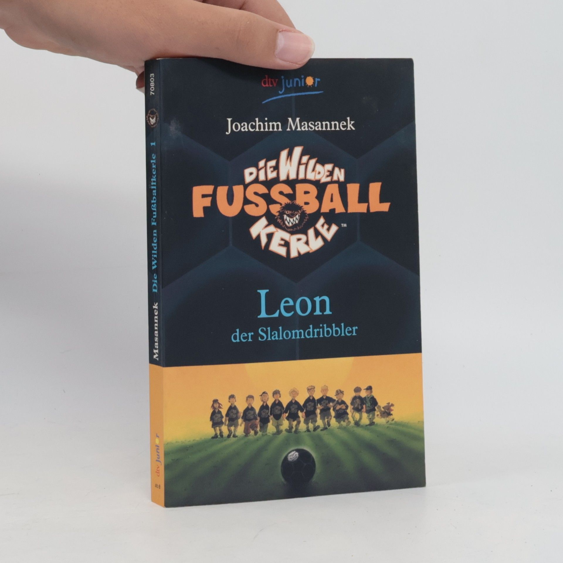 Die wilden Fußballkerle 1