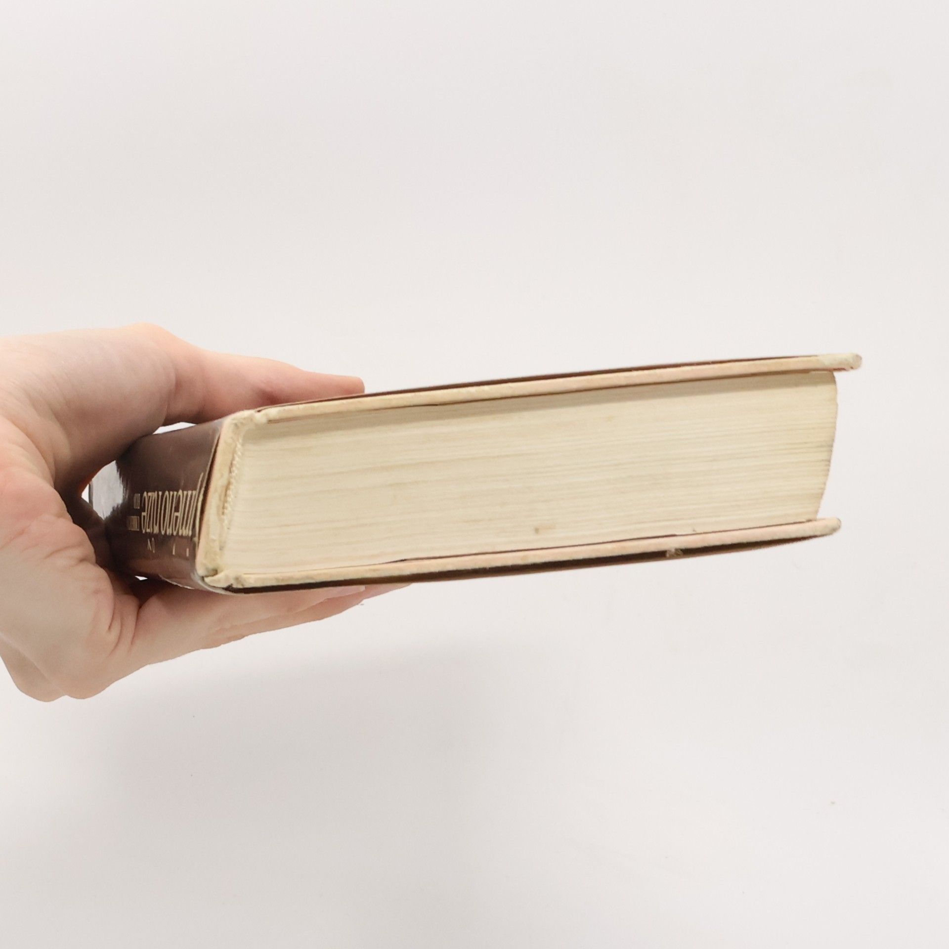 Umberto Eco Jméno růže