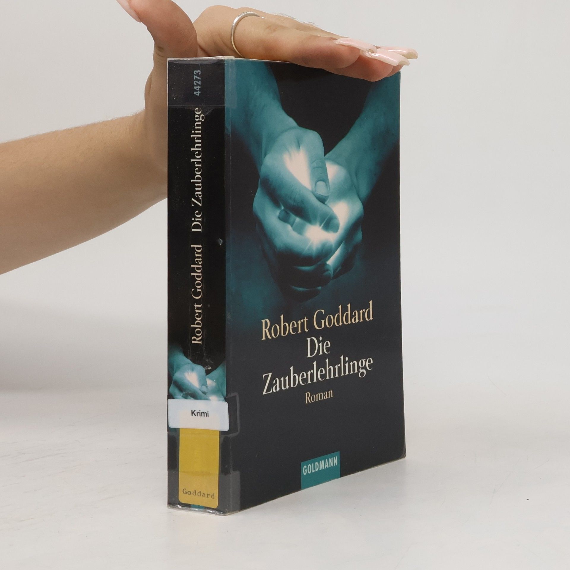 Robert Goddard Die Zauberlehrlinge