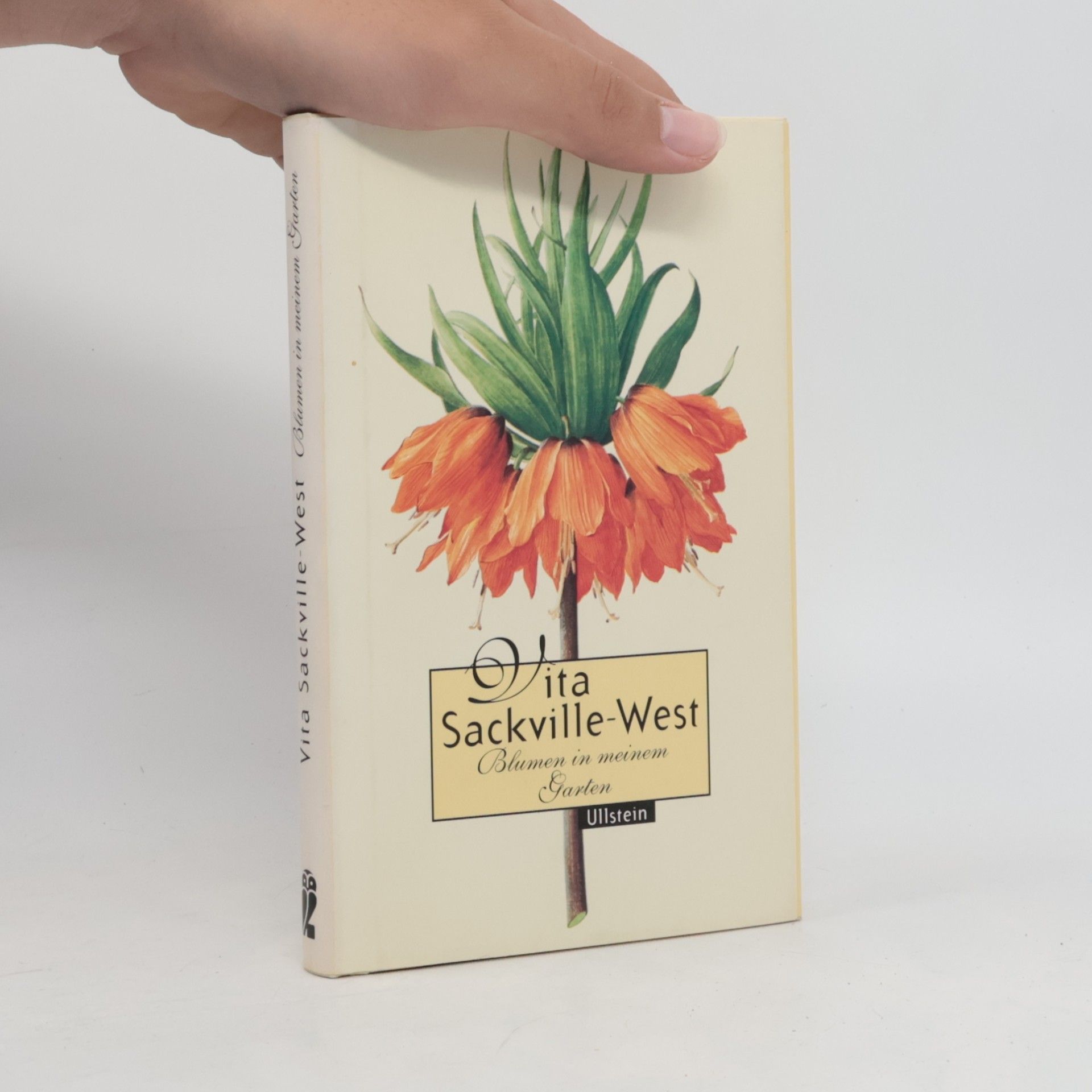 Vita Sackville-West Blumen in meinem Garten