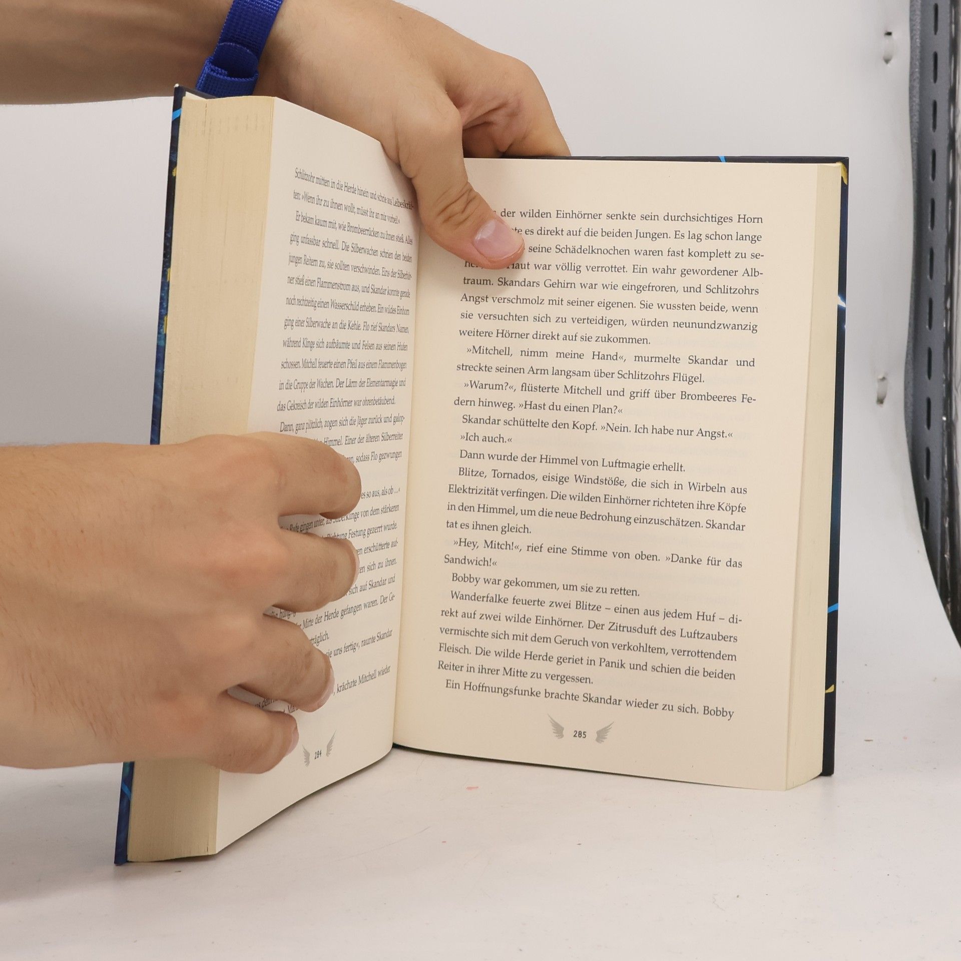 A. F. Steadman Skandar und das Geheimnis des Ersten Reiters
