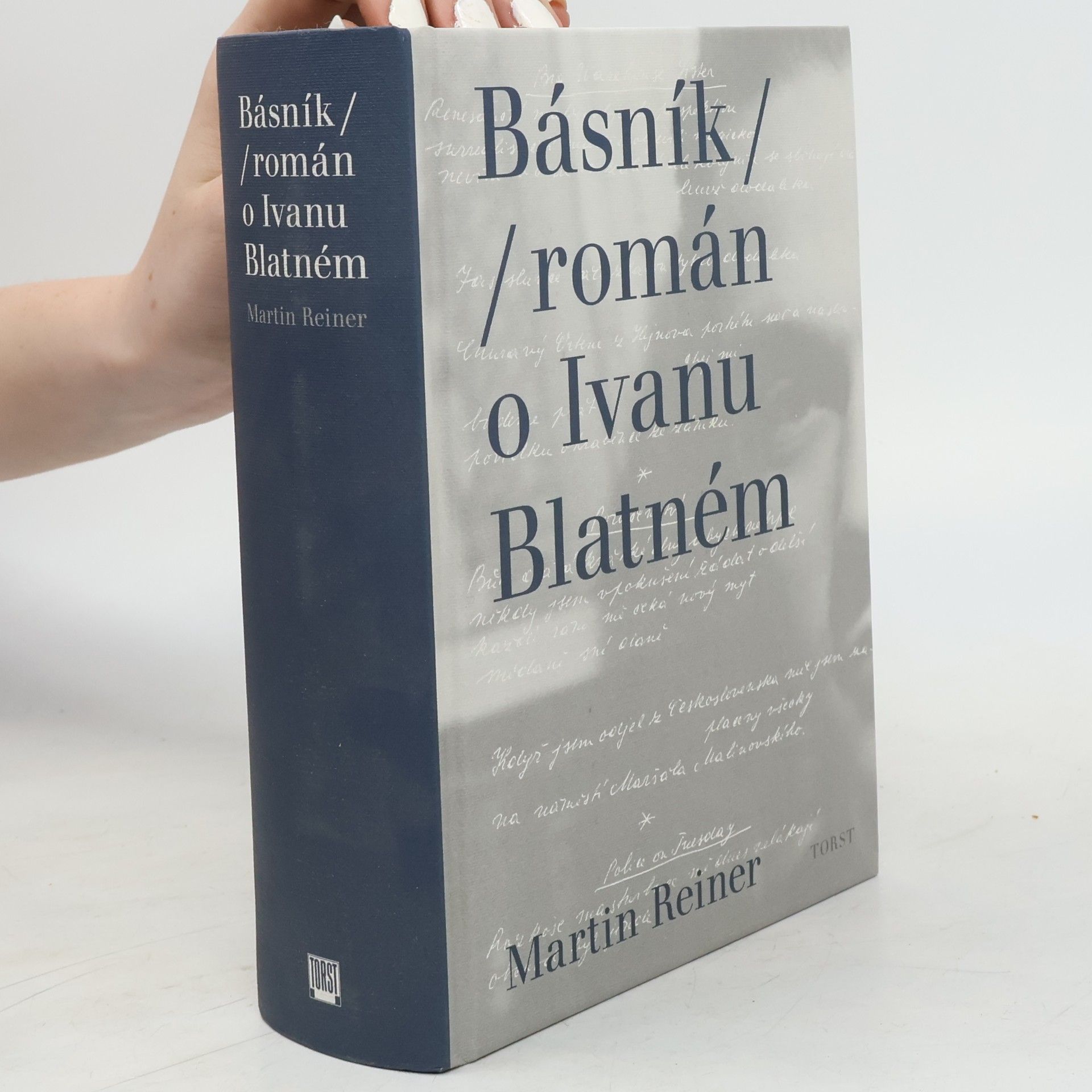 Martin Reiner Básník. Román o Ivanu Blatném