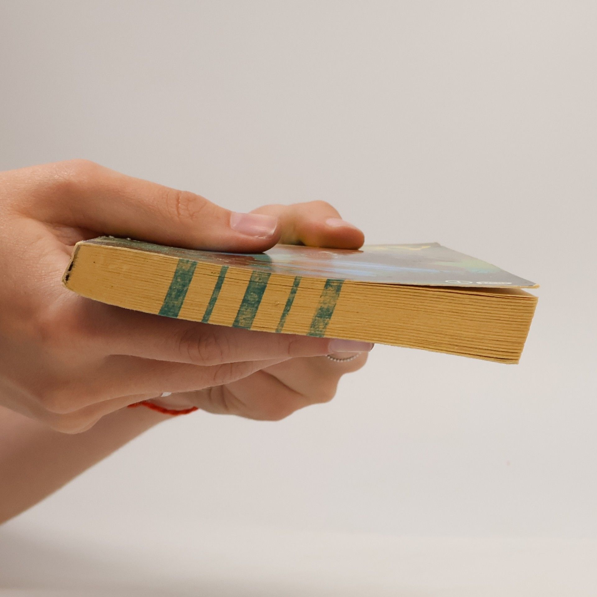 Norvell W. Page Söhne des Bärengottes