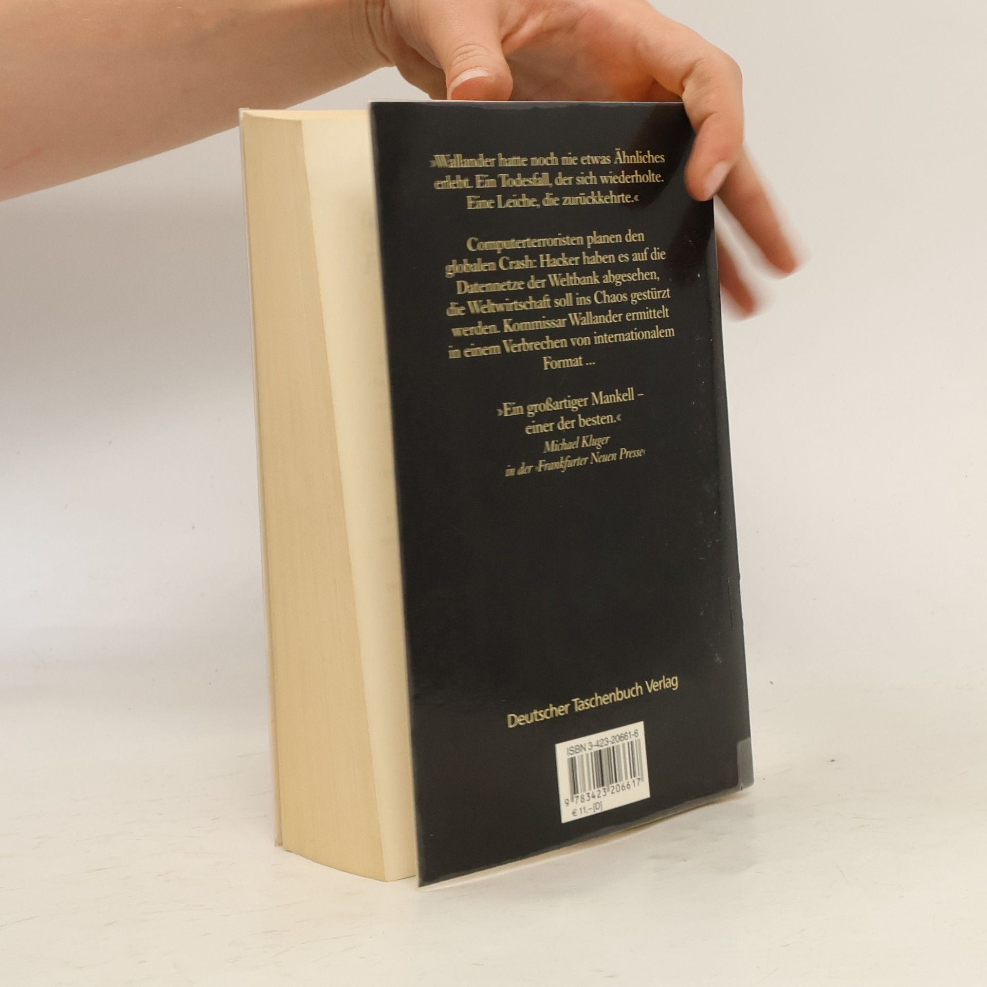 Henning Mankell Die Brandmauer