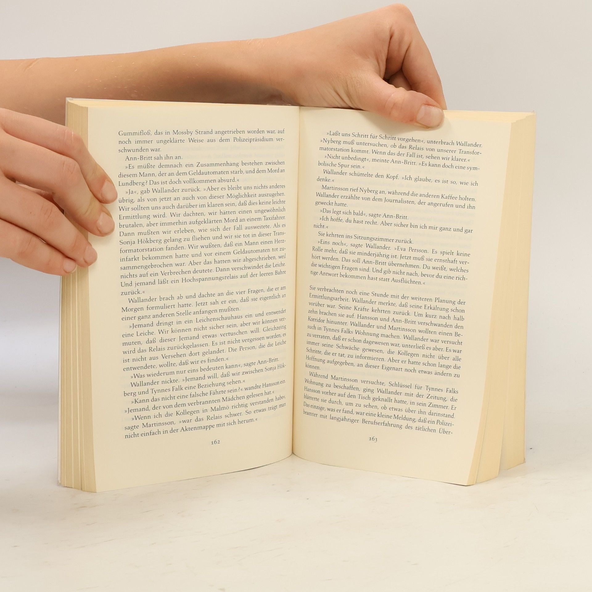 Henning Mankell Die Brandmauer