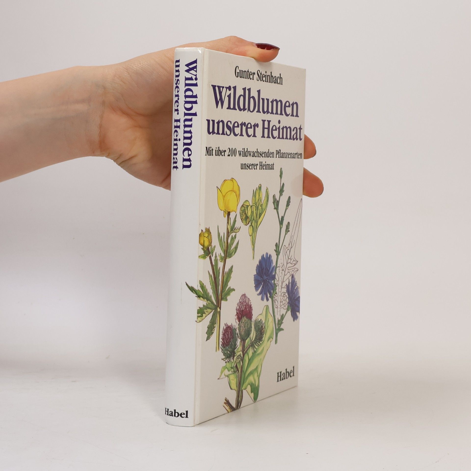 Gunter Steinbach Wildblumen unserer Heimat