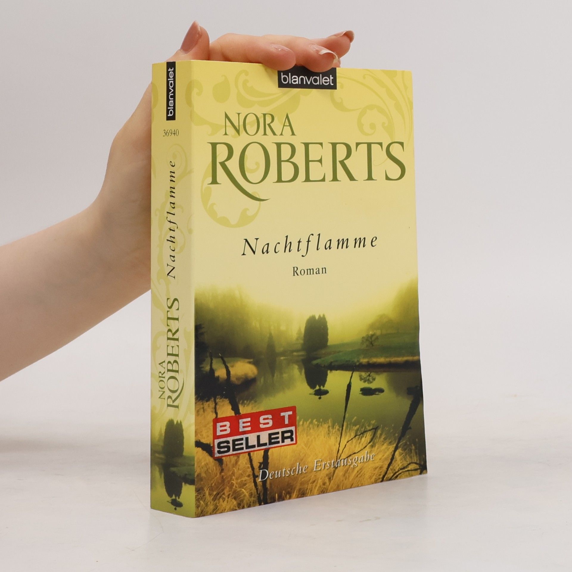 Nora Roberts Nachtflamme
