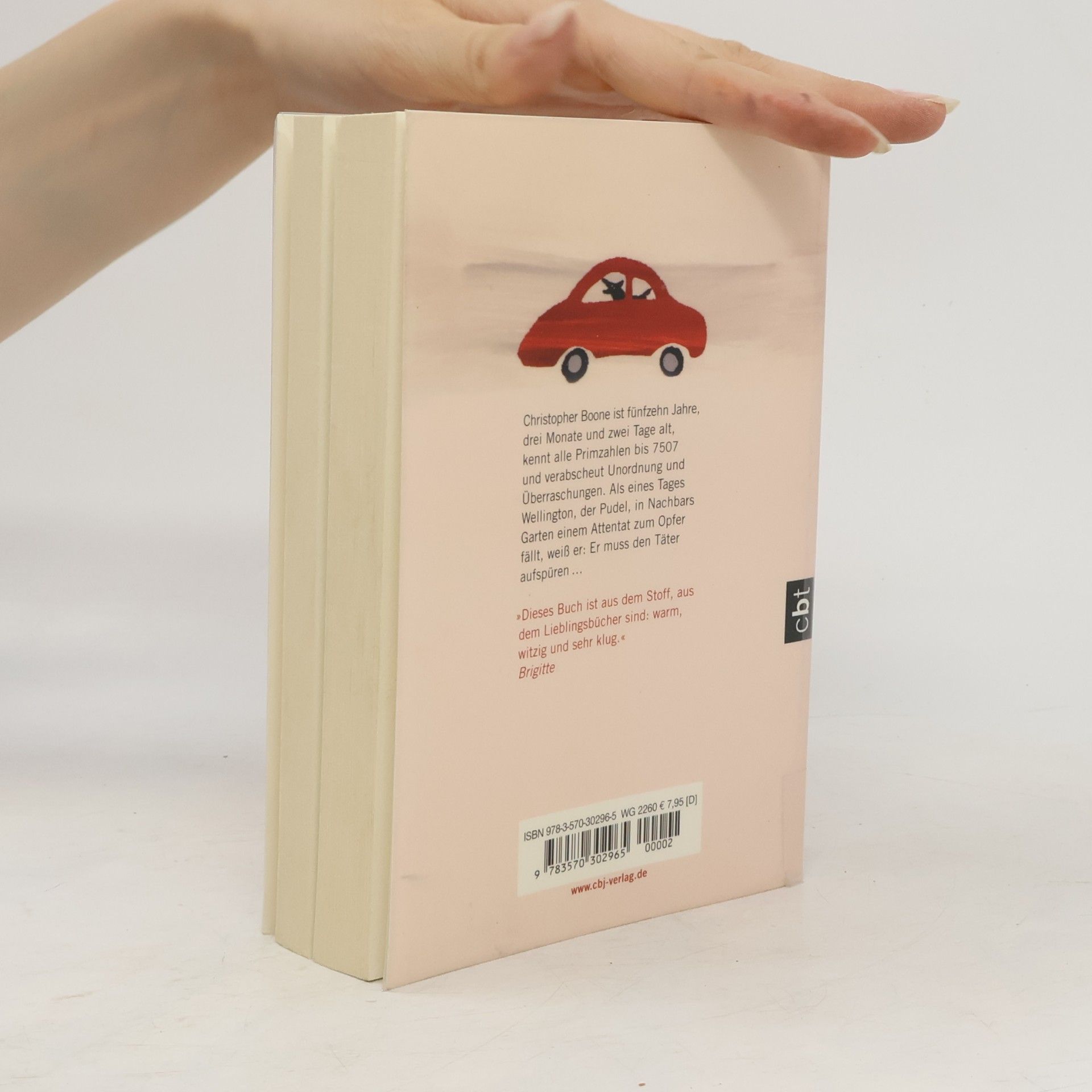 Mark Haddon Supergute Tage oder die sonderbare Welt des Christopher Boone