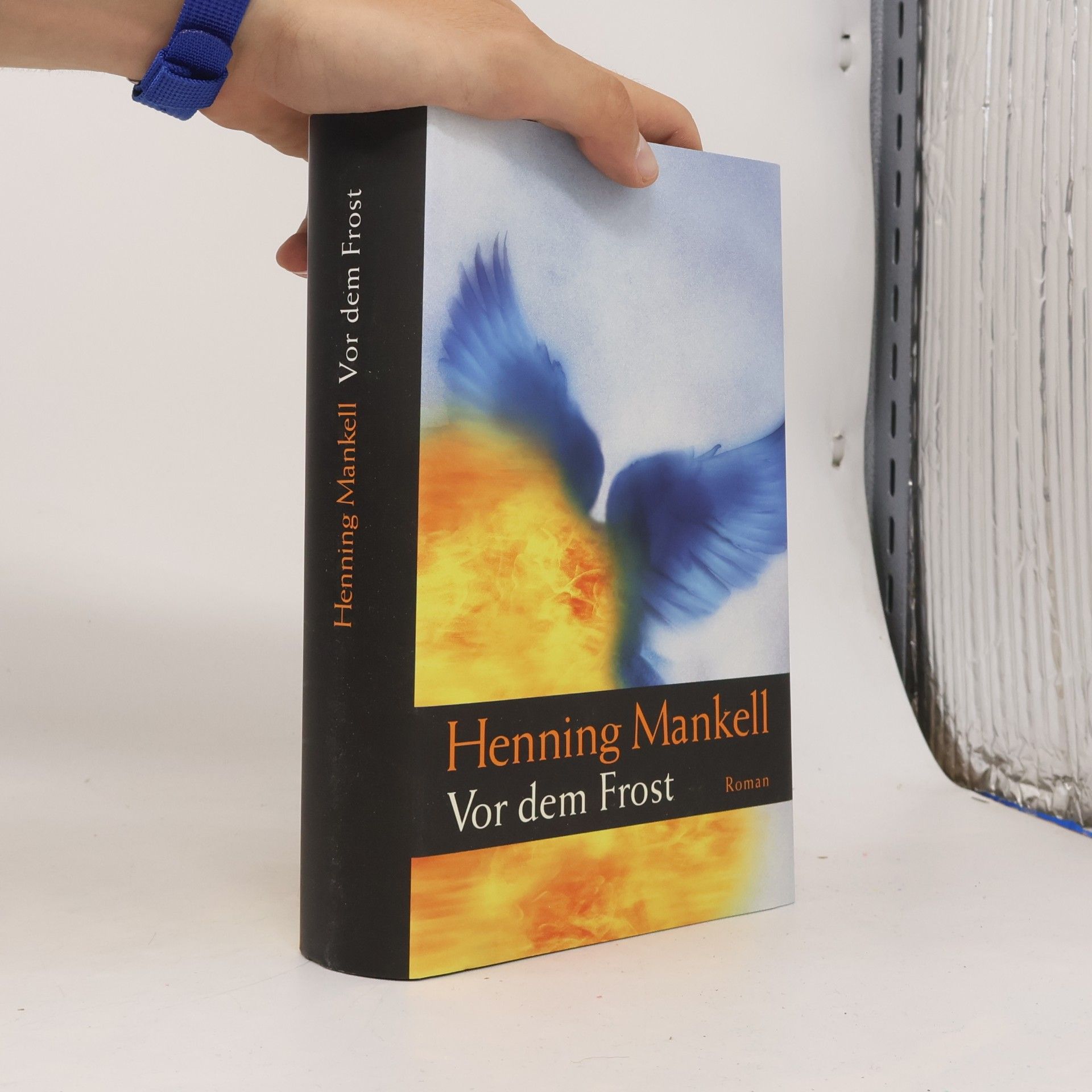 Henning Mankell Vor dem Frost