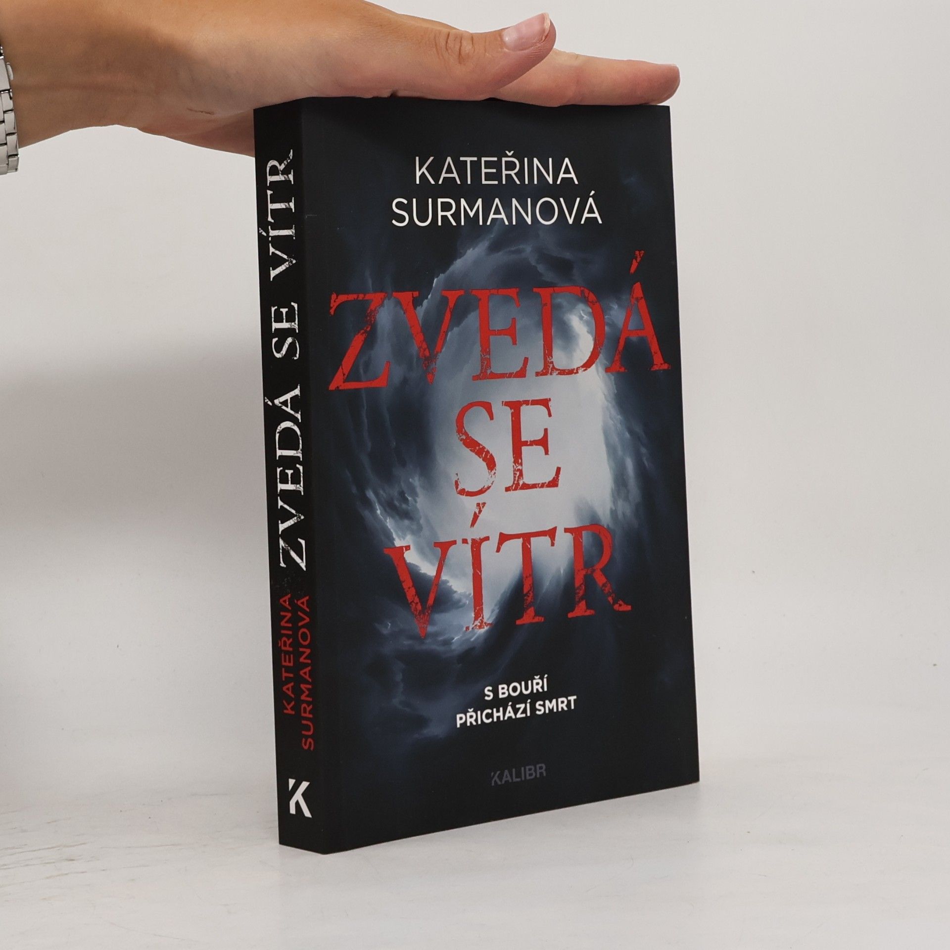 Kateřina Surmanová Zvedá se vítr
