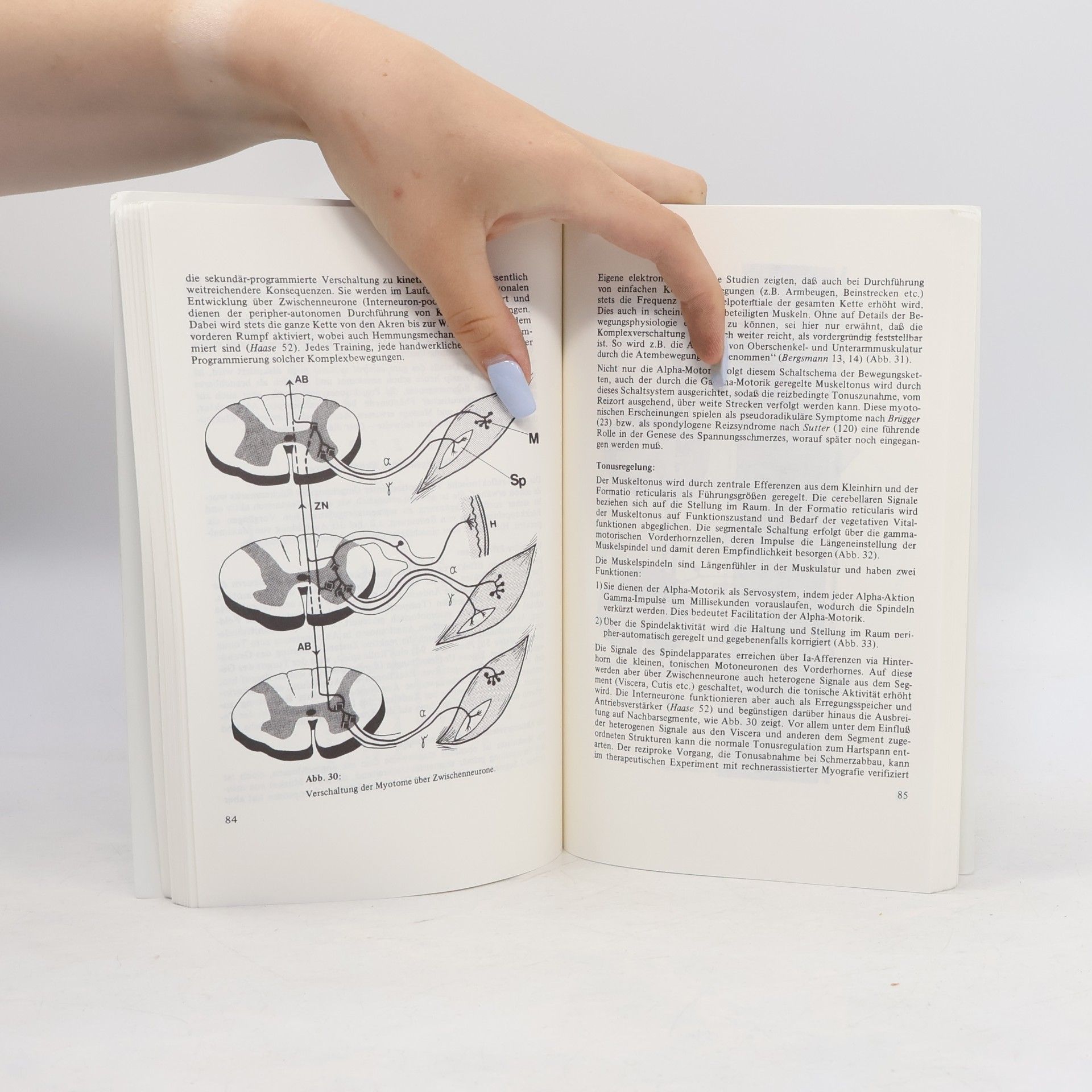 Otto Bergsmann Schriftenreihe Ganzheitsmedizin: Projektionssymptome