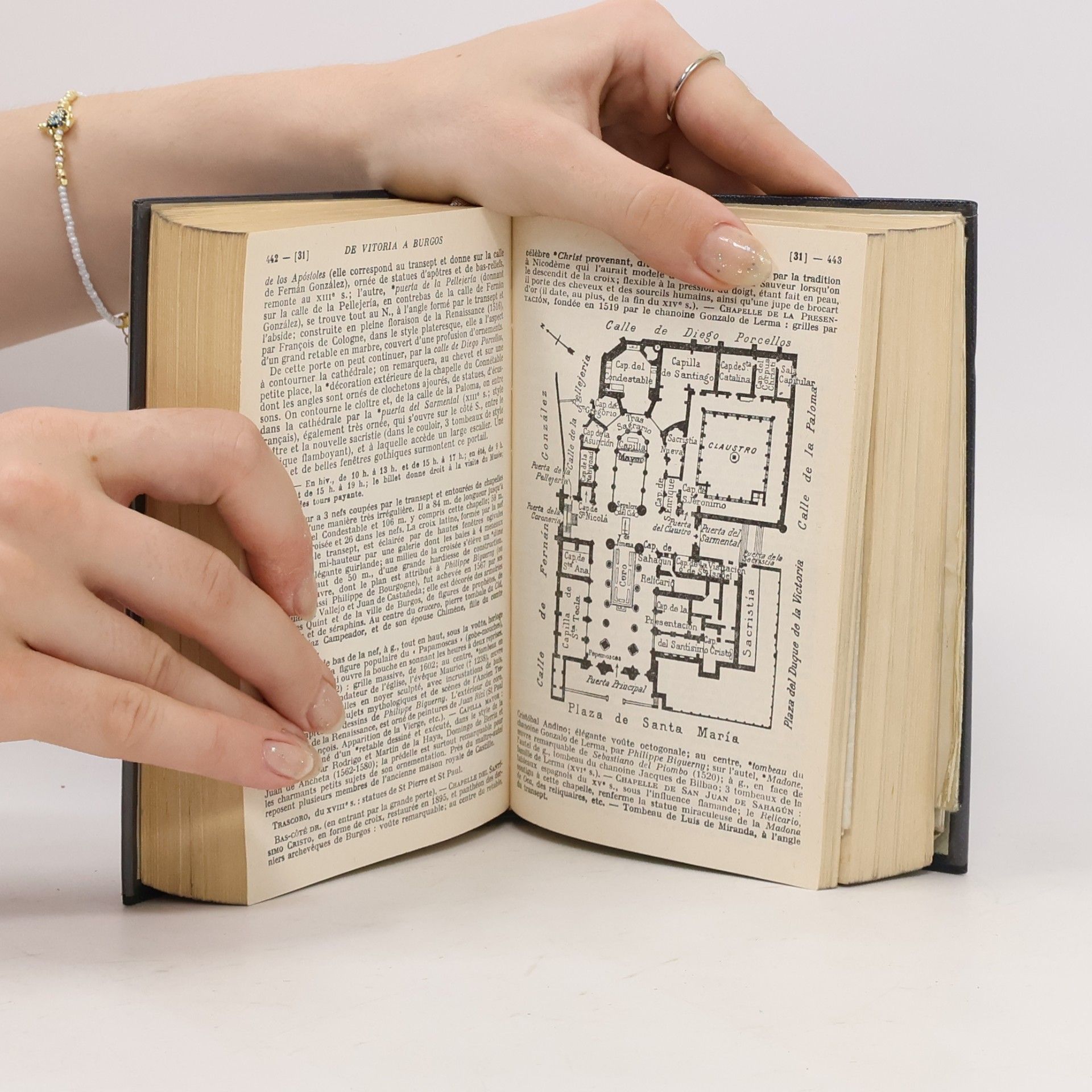 Collectif d'auteurs Les guides bleus