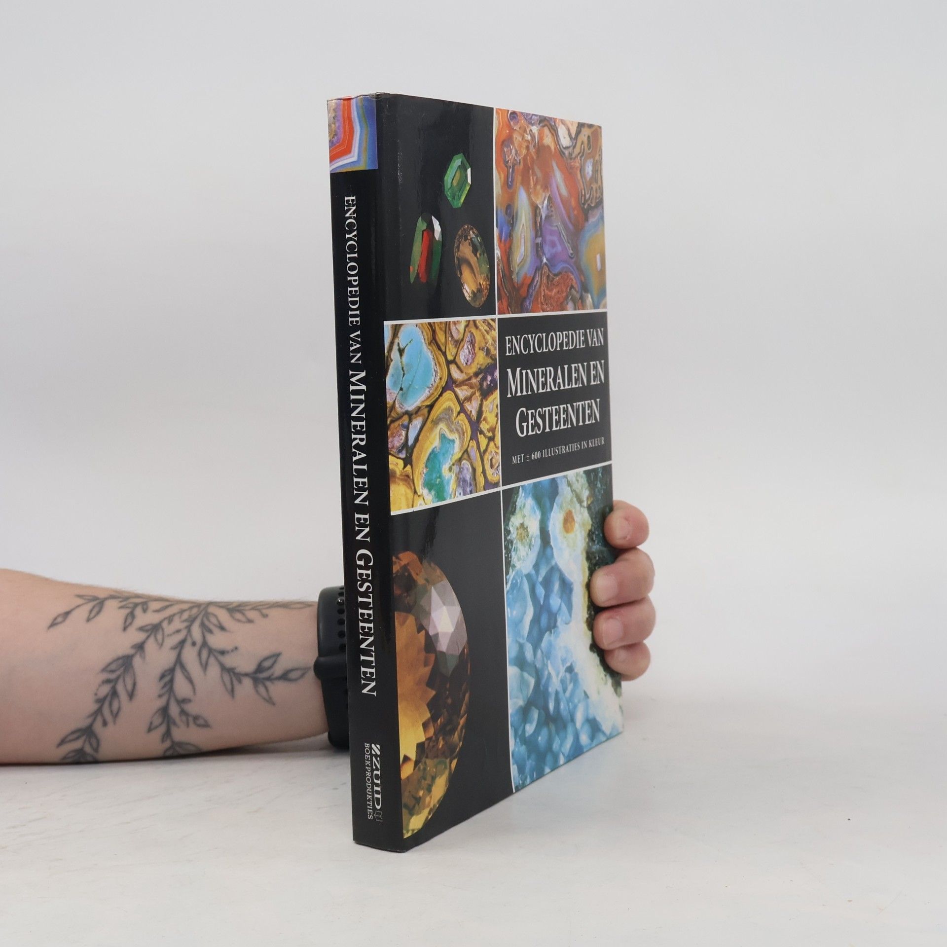 TextCase (Groningen) Encyclopedie van mineralen en gesteenten