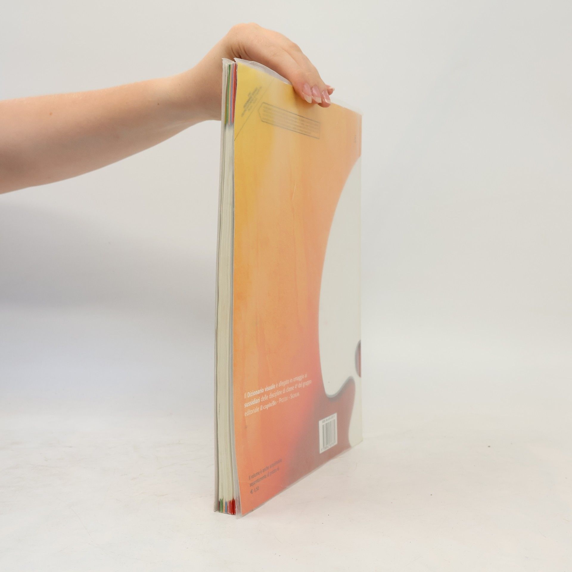 Raffaella Finzi Dizionario Visuale Bilingue Multidisciplinare Italiano Inglese