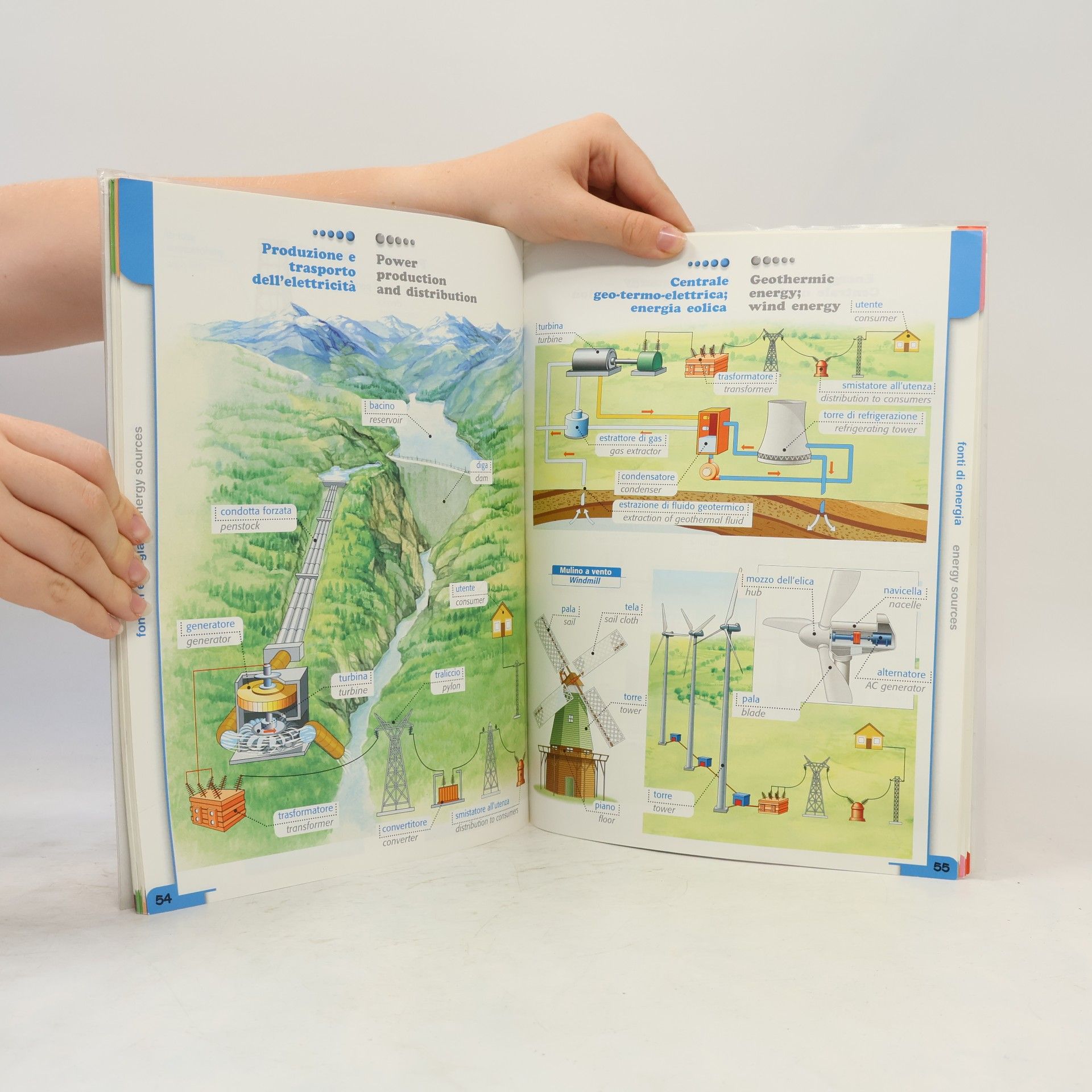 Raffaella Finzi Dizionario Visuale Bilingue Multidisciplinare Italiano Inglese