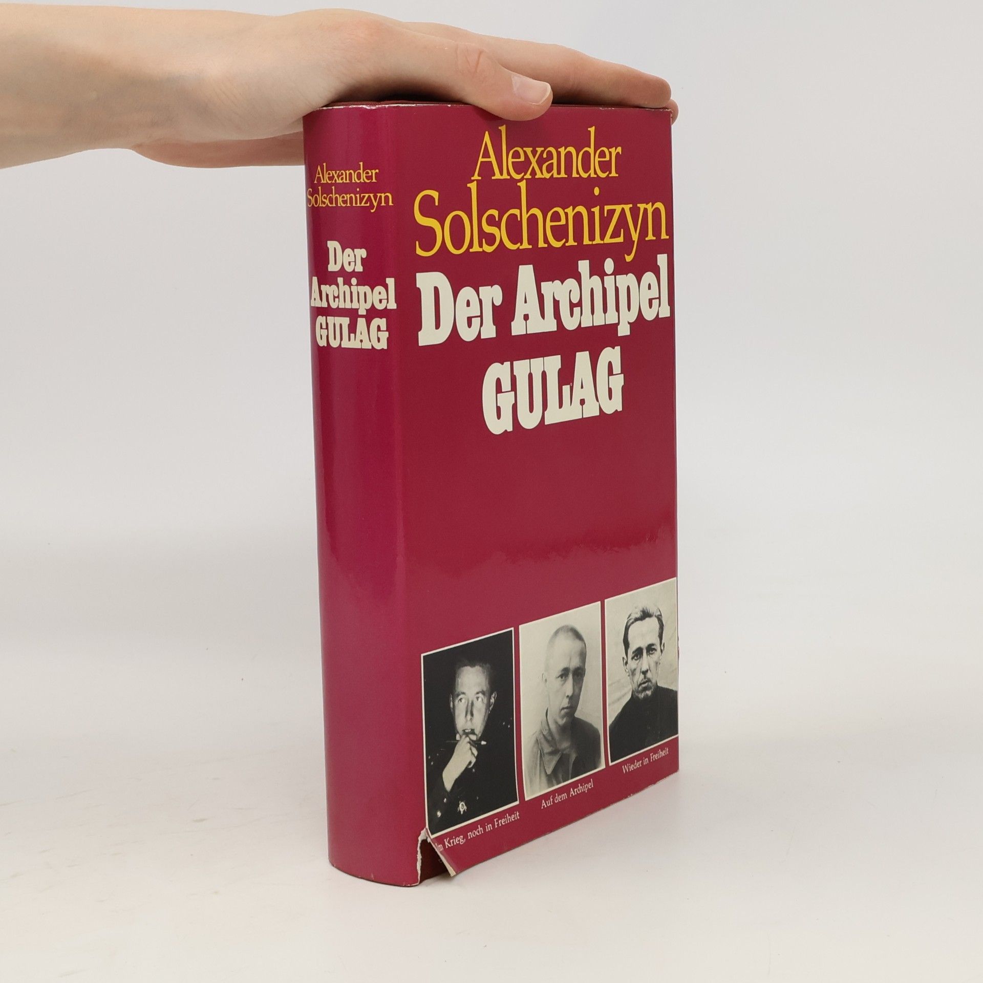 Aleksandr Solzhenitsyn Der Archipel Gulag