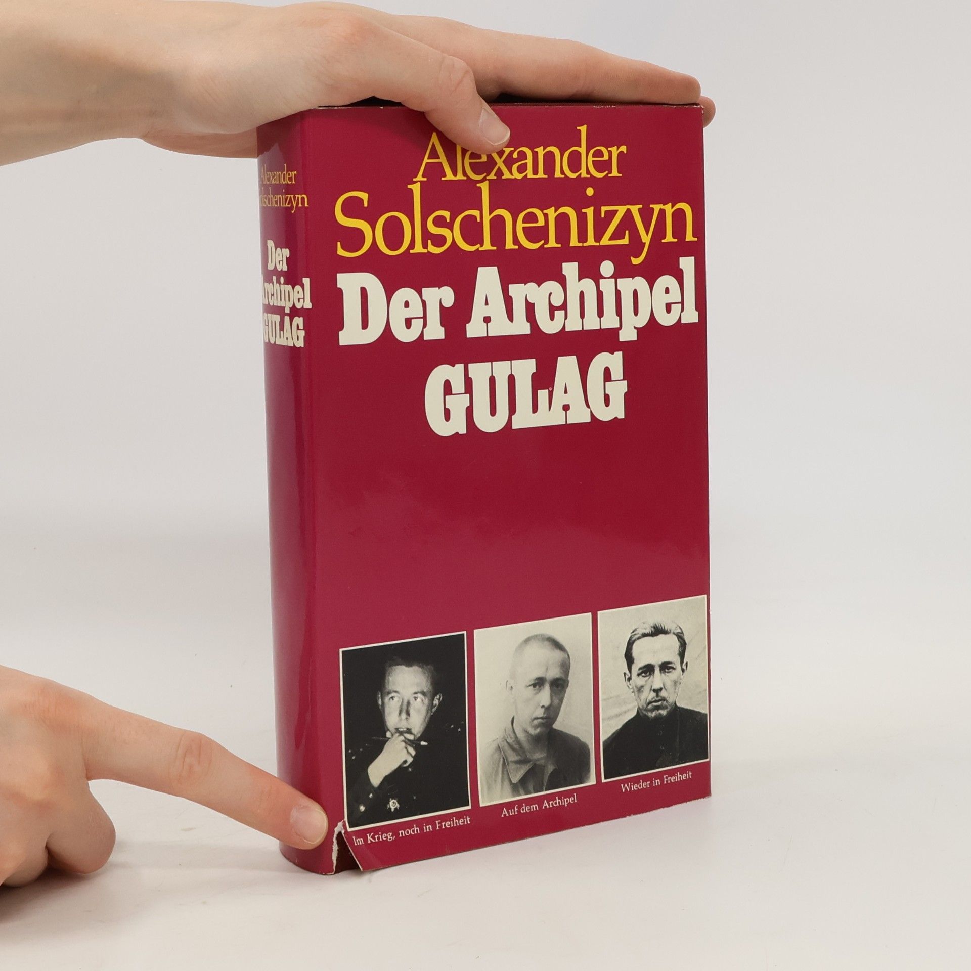 Aleksandr Solzhenitsyn Der Archipel Gulag