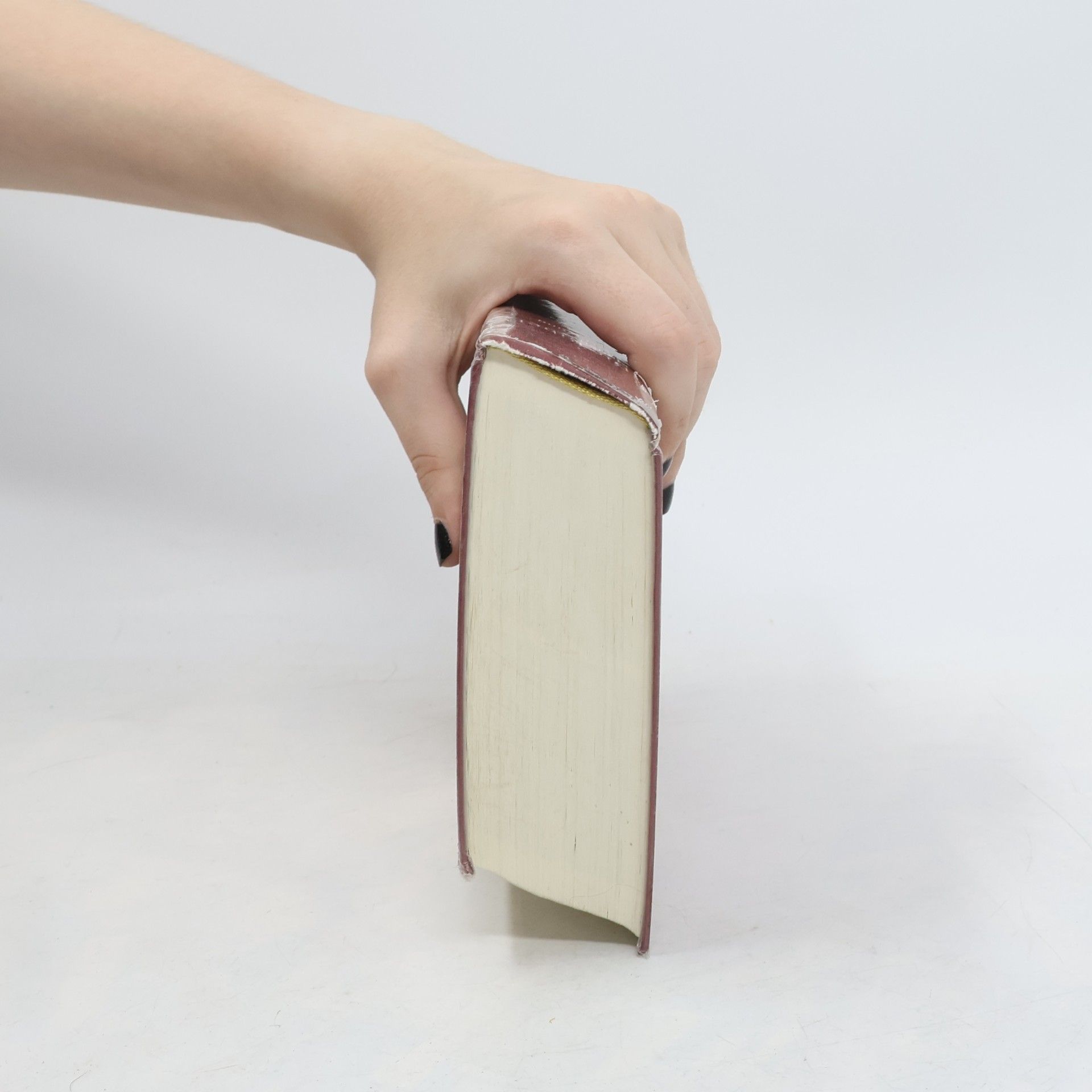 Autorenkollektiv Die Bibel