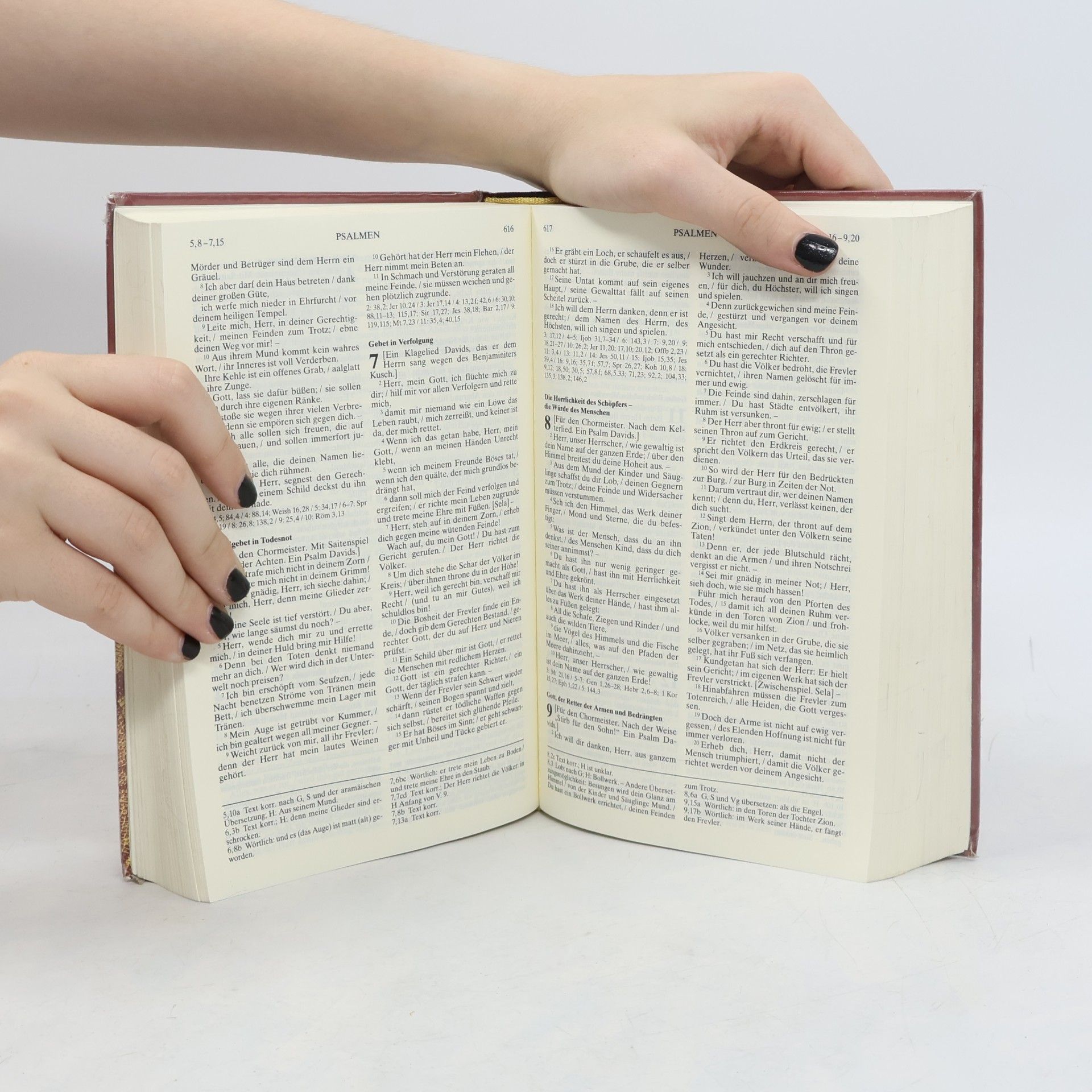 Autorenkollektiv Die Bibel