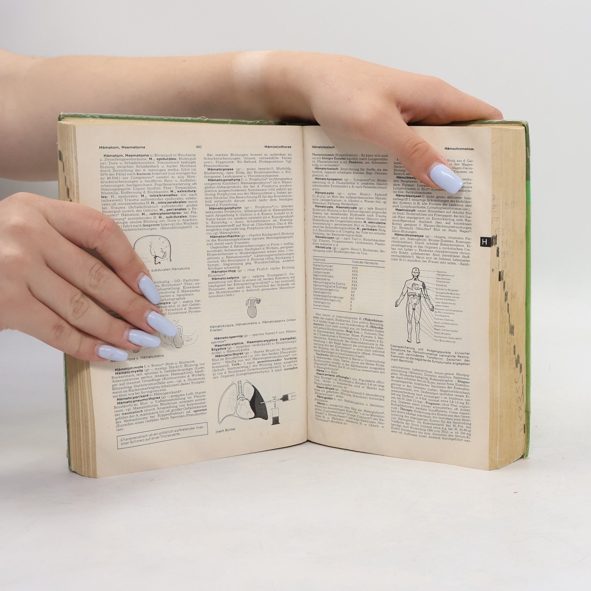 Kolektiv autorů Pschyrembel. Klinisches Wörterbuch 258