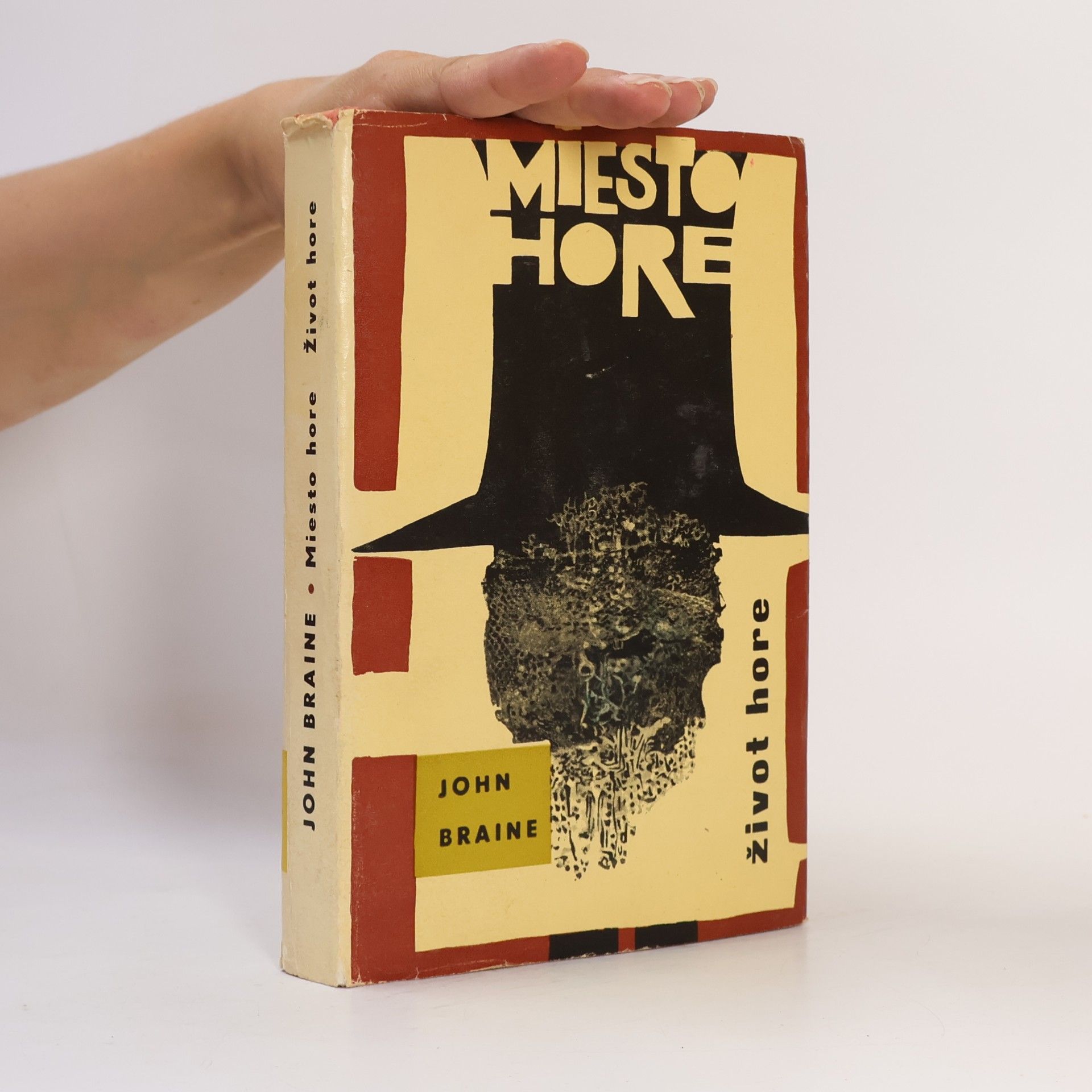 John Braine Miesto hore : Život hore