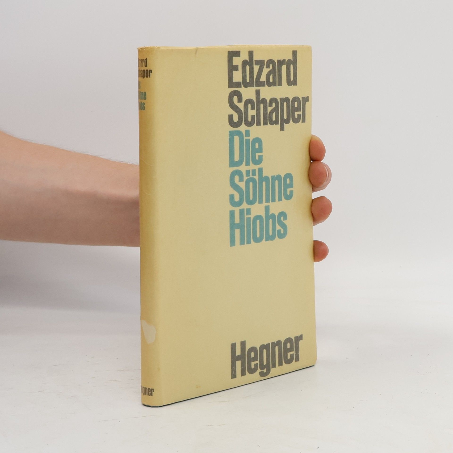 Edzard Schaper Die Söhne Hiobs