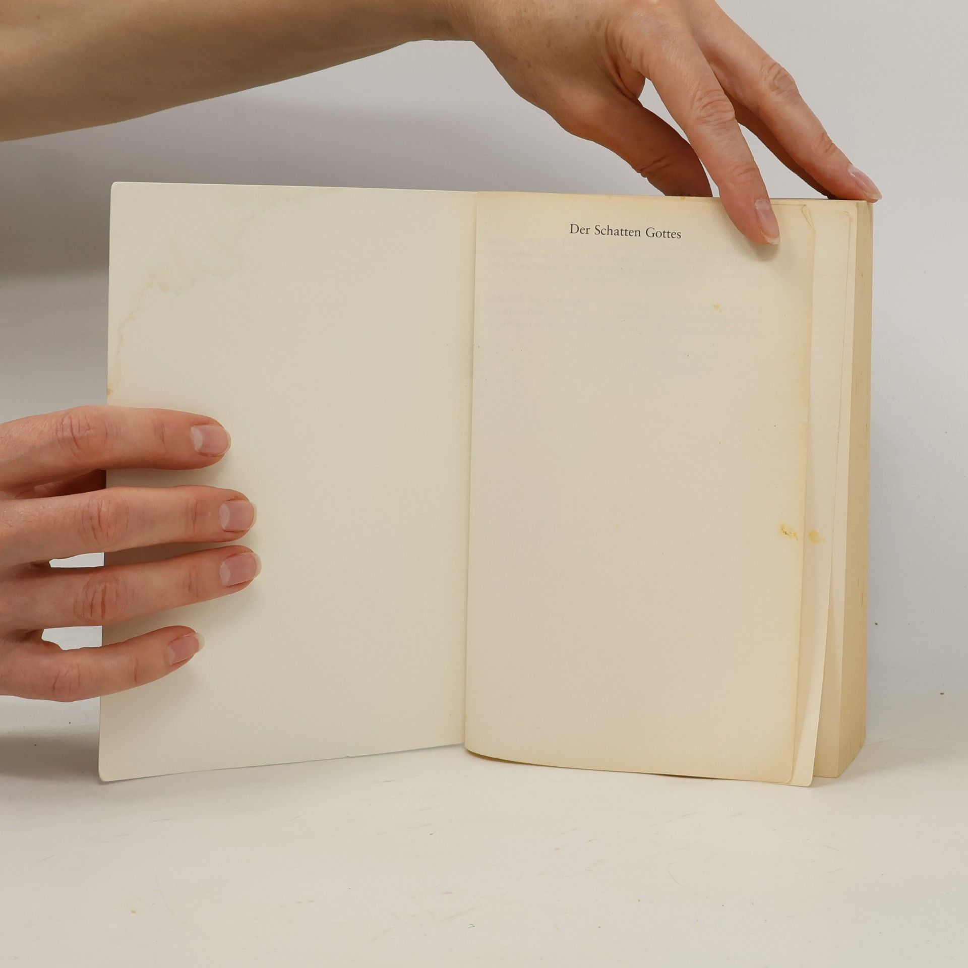 W. Michael Gear Der Schatten Gottes