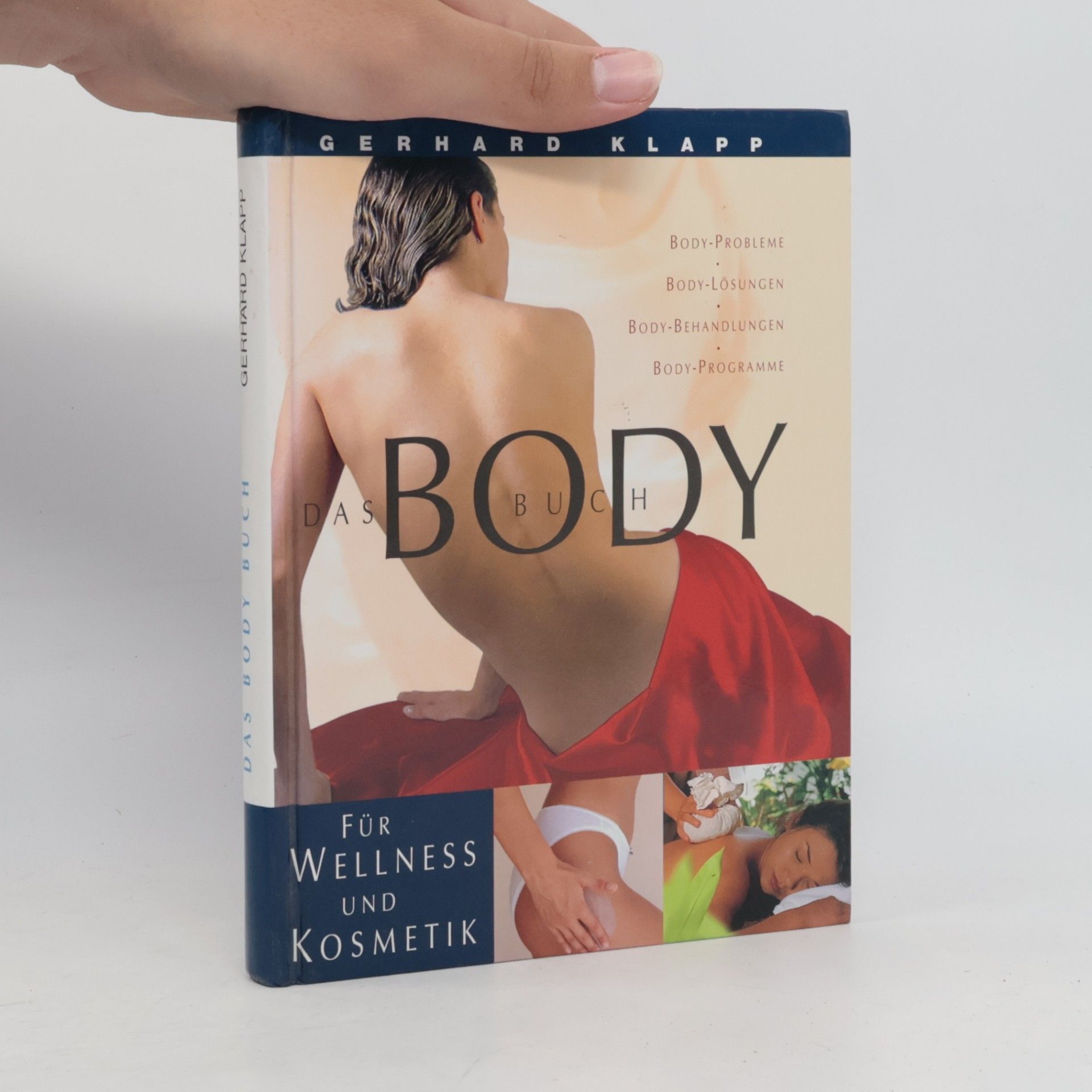 Gerhard Klapp Das AyurVeda-Buch