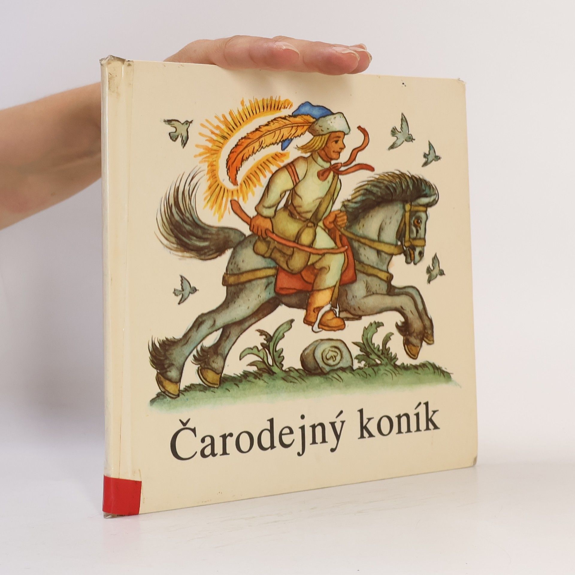Čarodejný koník