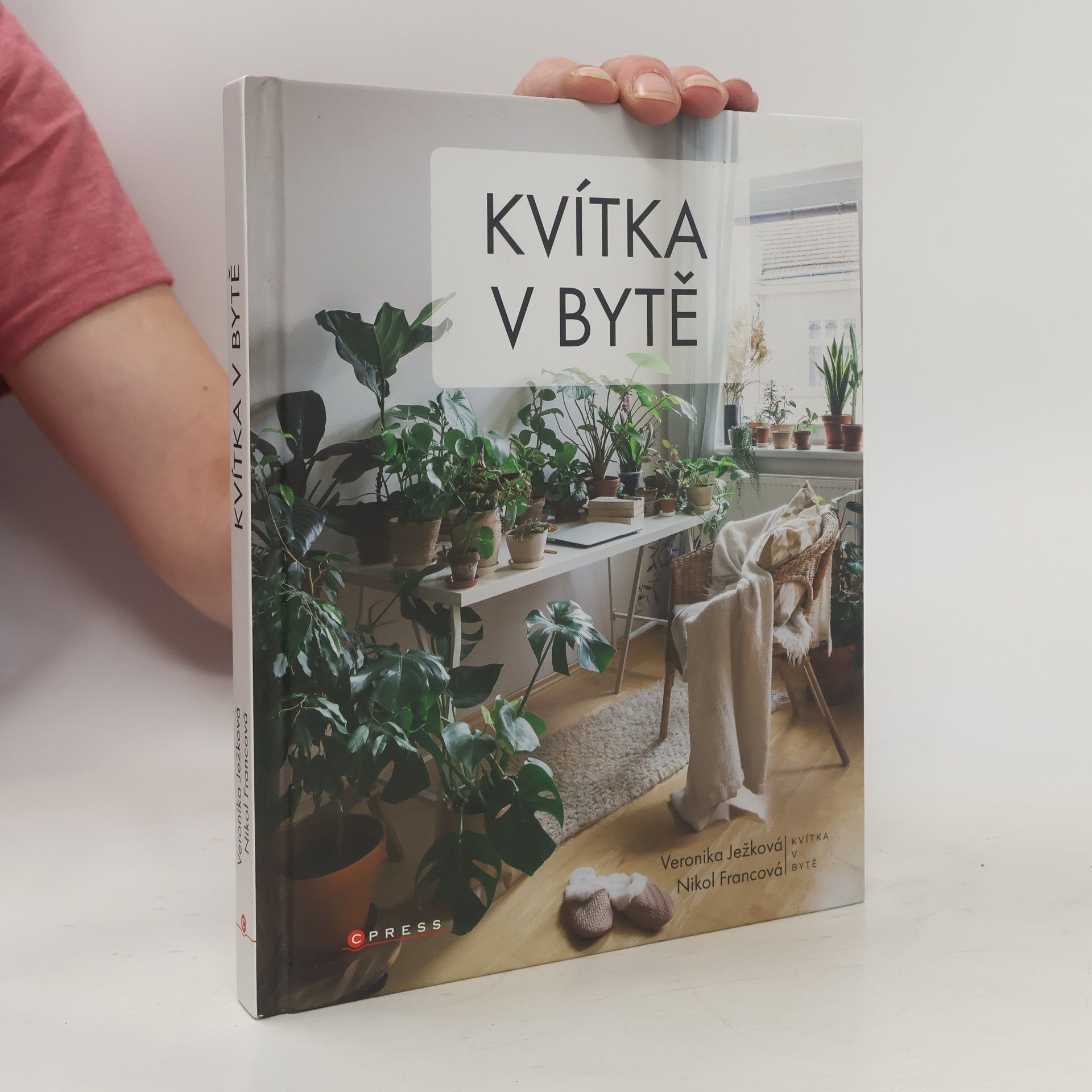 Veronika Ježková Kvítka v bytě