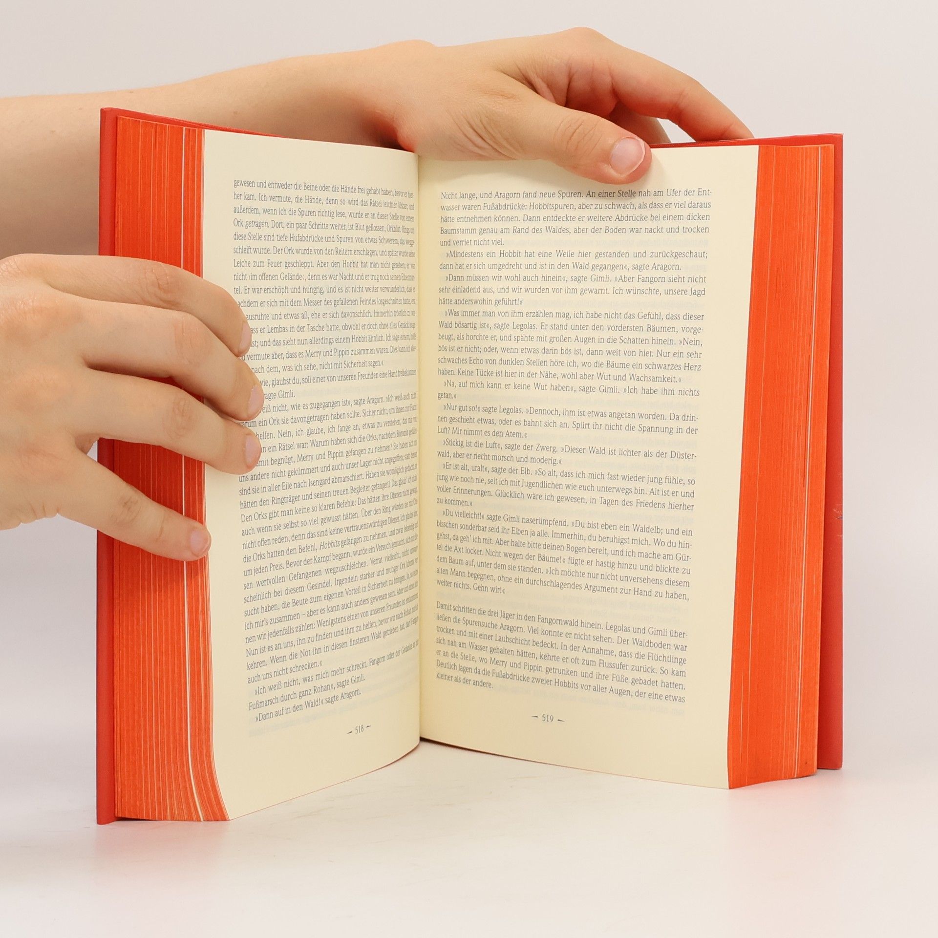 J. R. R. Tolkien Der Herr der Ringe