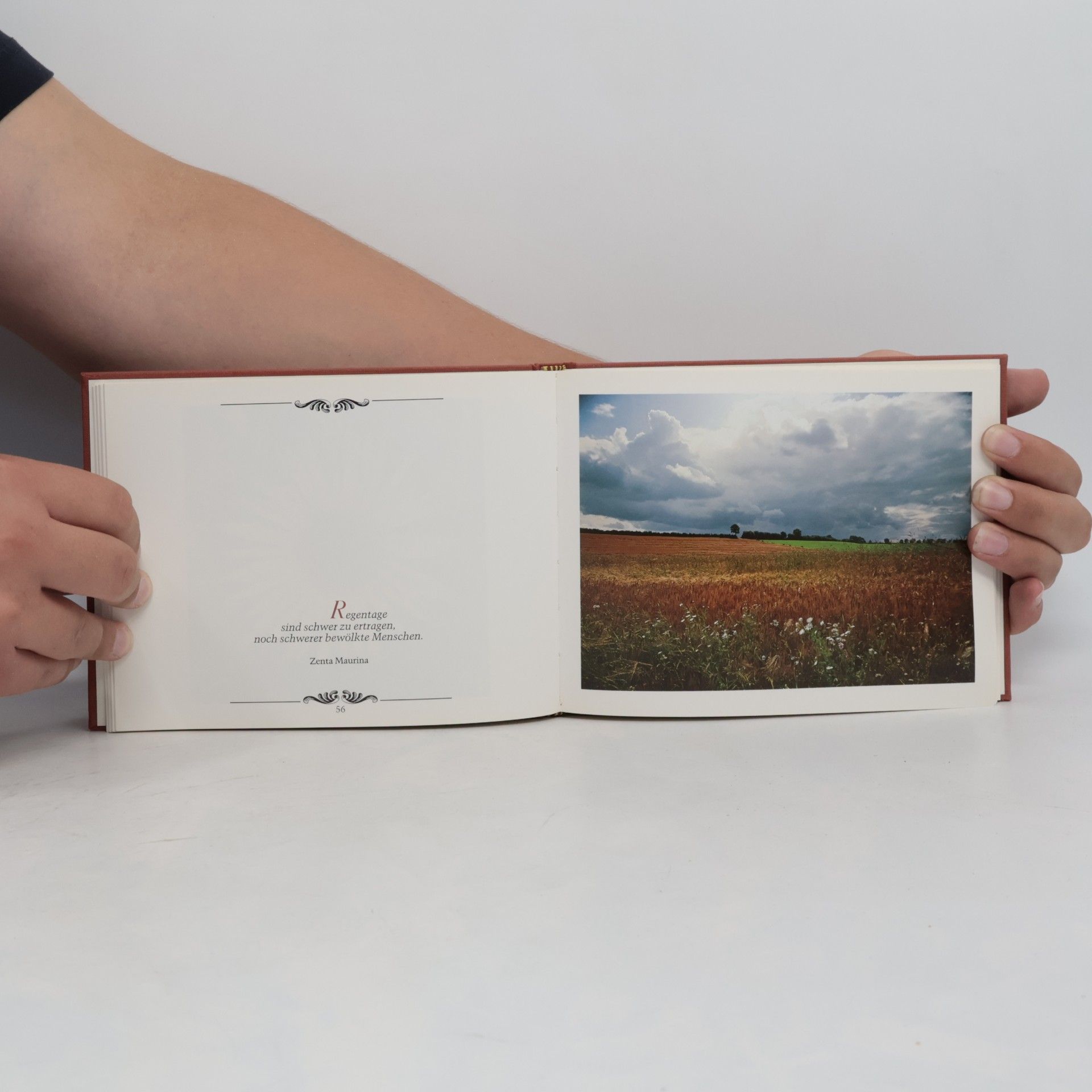 Autores varios Jahreszeiten