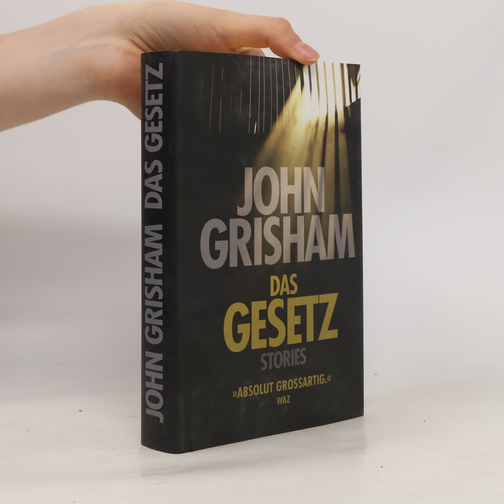 John Grisham Das gesetz Stories