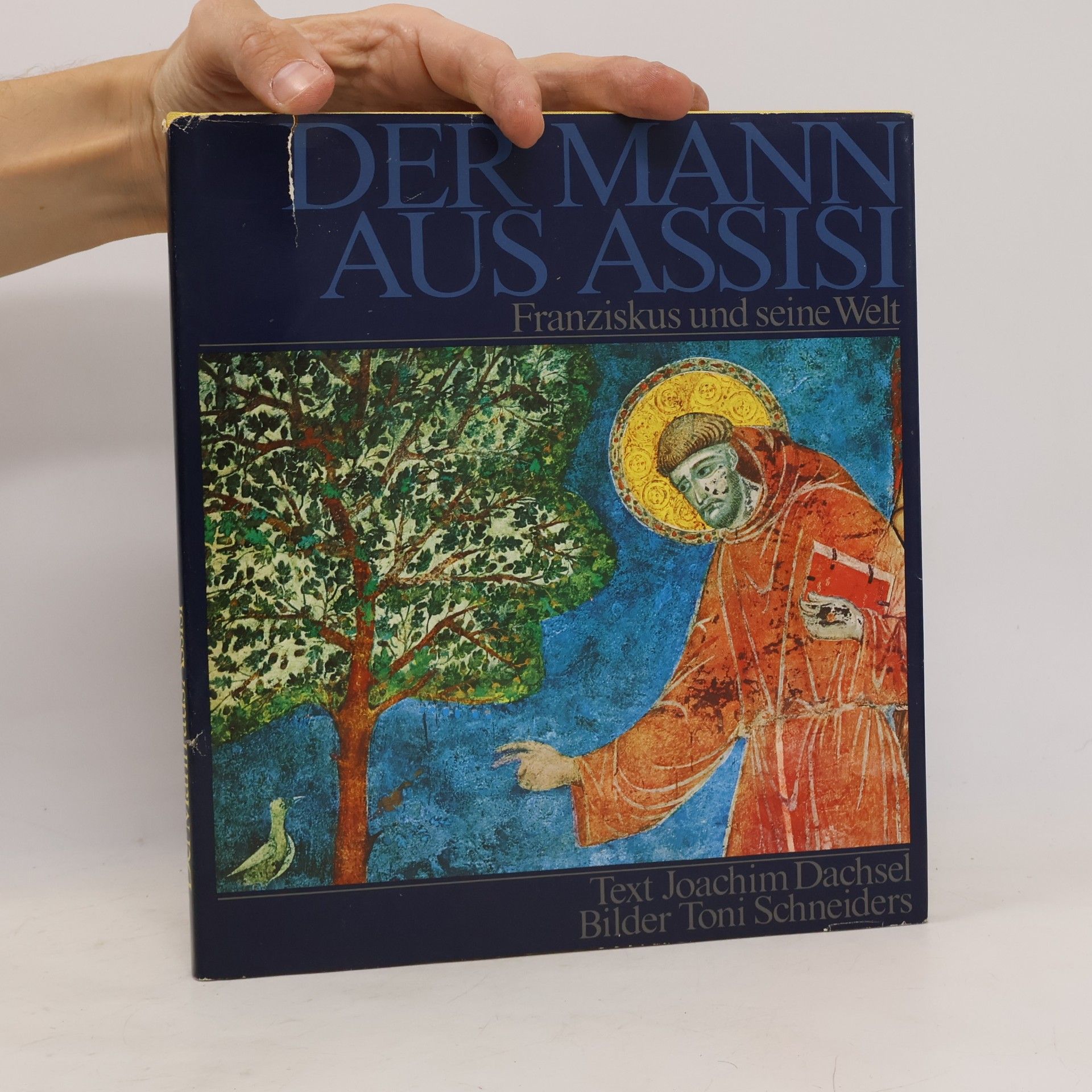 Kolektiv autorů Der Mann aus Assisi. Franziskus und seine Welt